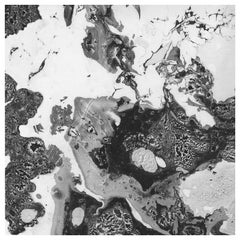 Marbre, Black and White Marble Printed Wallpaper