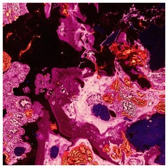 Marbre-Magenta-Marble Printed Wallpaper
