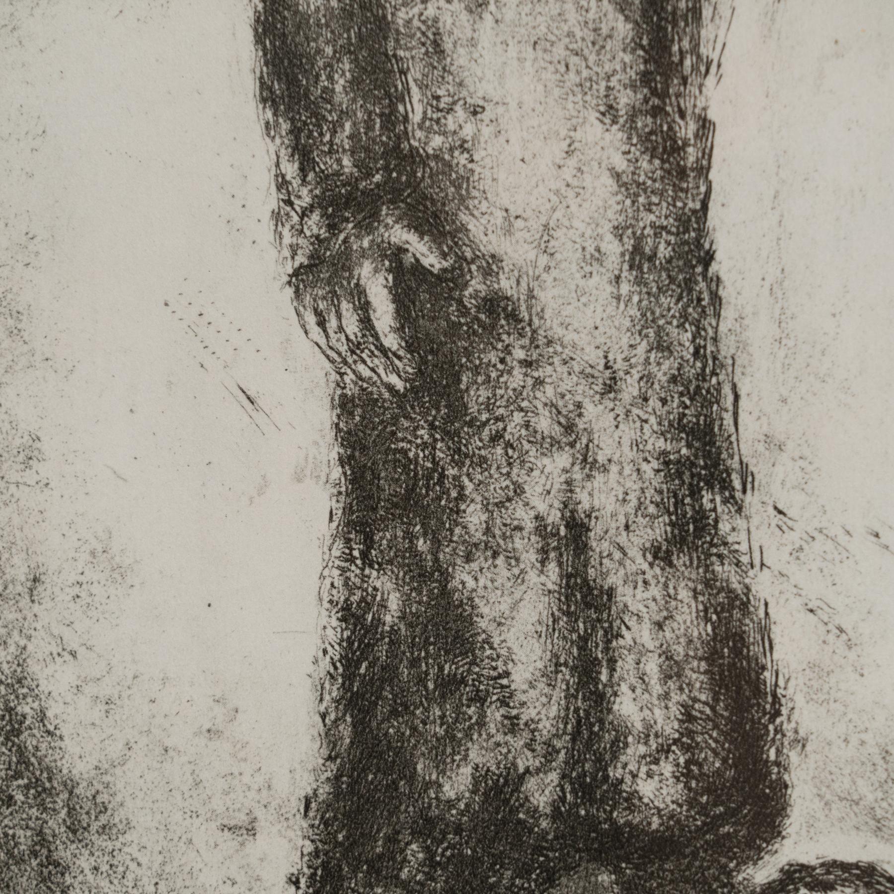 Marc Chagall: Ätherische biblische Vision - Limitierte Auflage Heliogravüre im Angebot 1