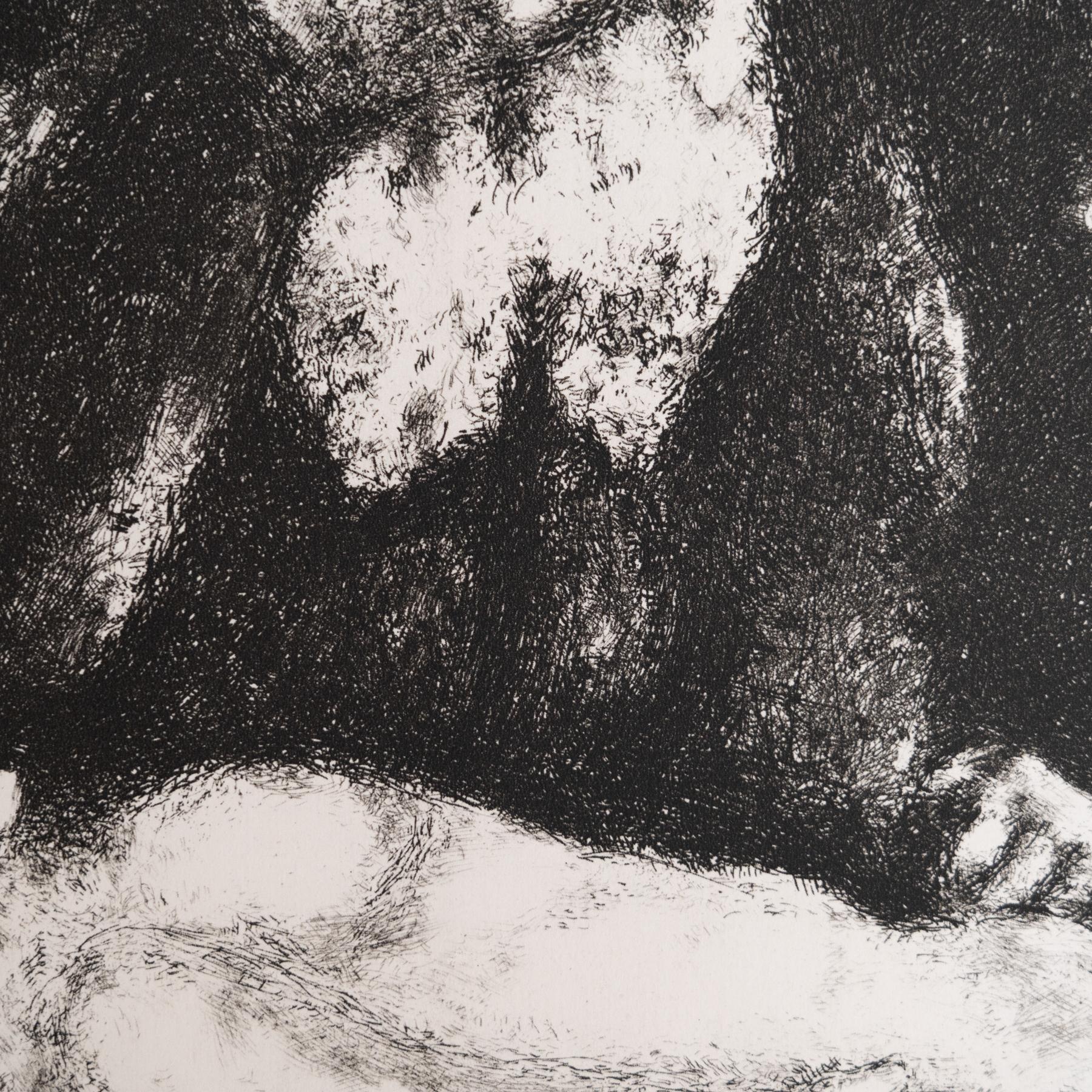 Stampa eliografica di Marc Chagall incorniciata della Collection'S 1956 Bible In condizioni buone in vendita a Barcelona, Barcelona