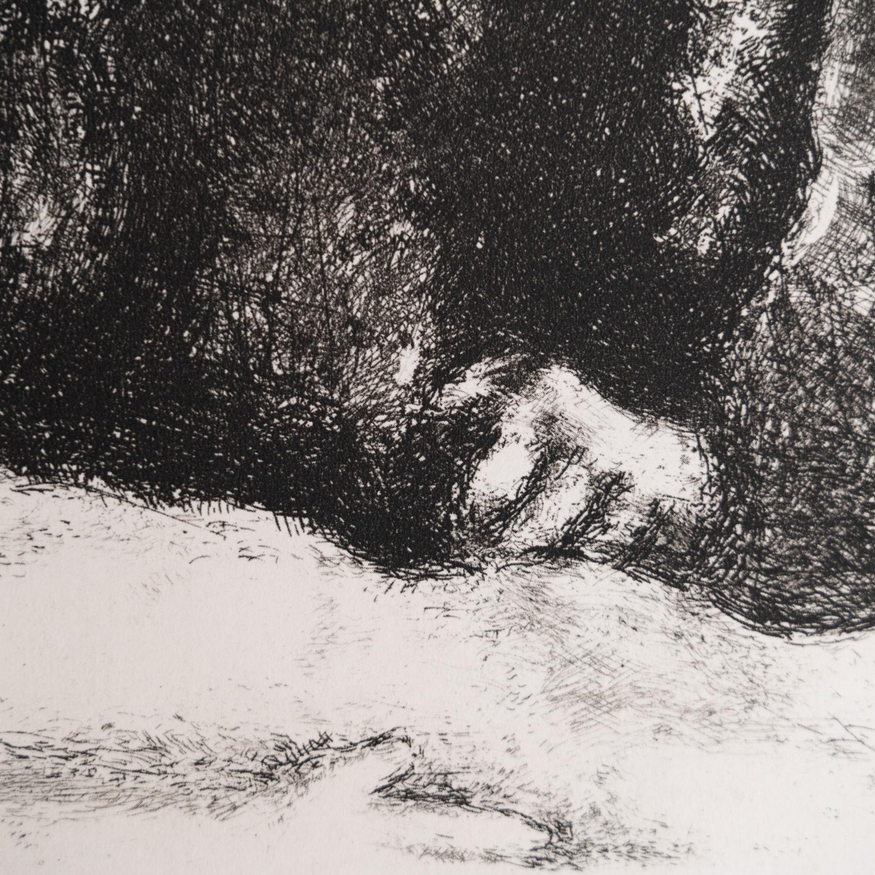 Metà XX secolo Stampa eliografica di Marc Chagall incorniciata della Collection'S 1956 Bible in vendita