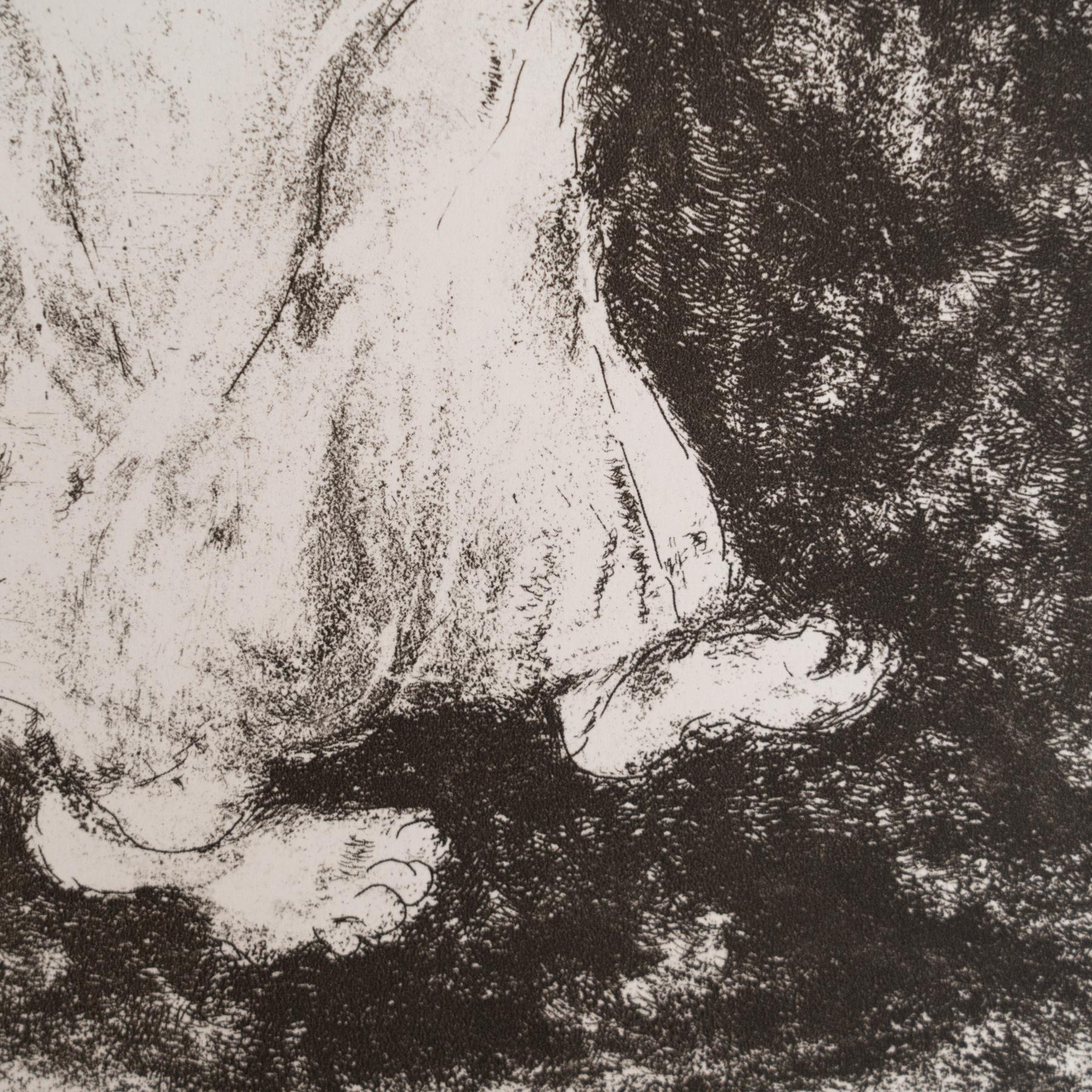 Heliograbado enmarcado de Marc Chagall de la Colección de la Biblia de 1956 mediados del siglo XX en venta
