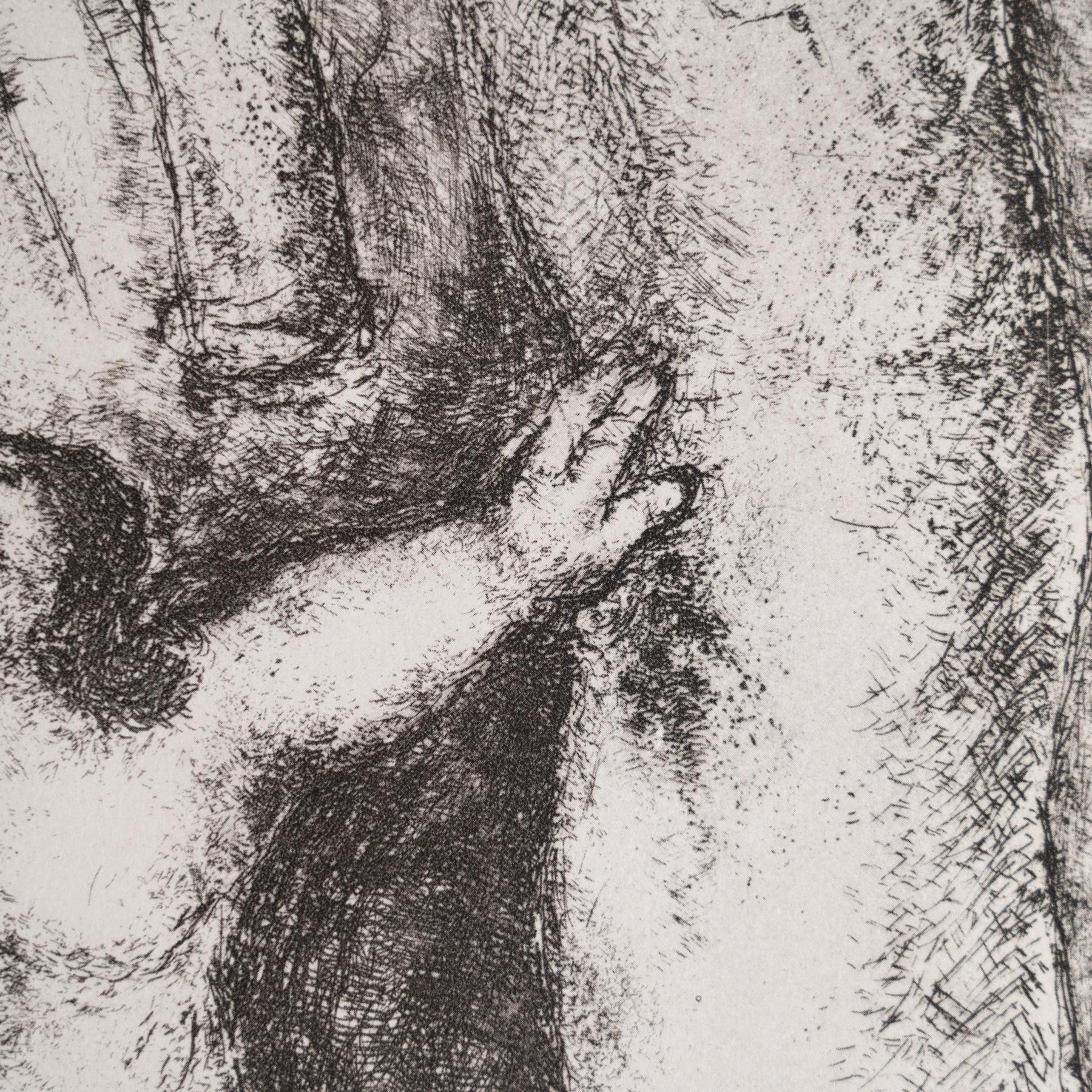 Carta Stampa eliografica di Marc Chagall incorniciata della Collection'S 1956 Bible in vendita