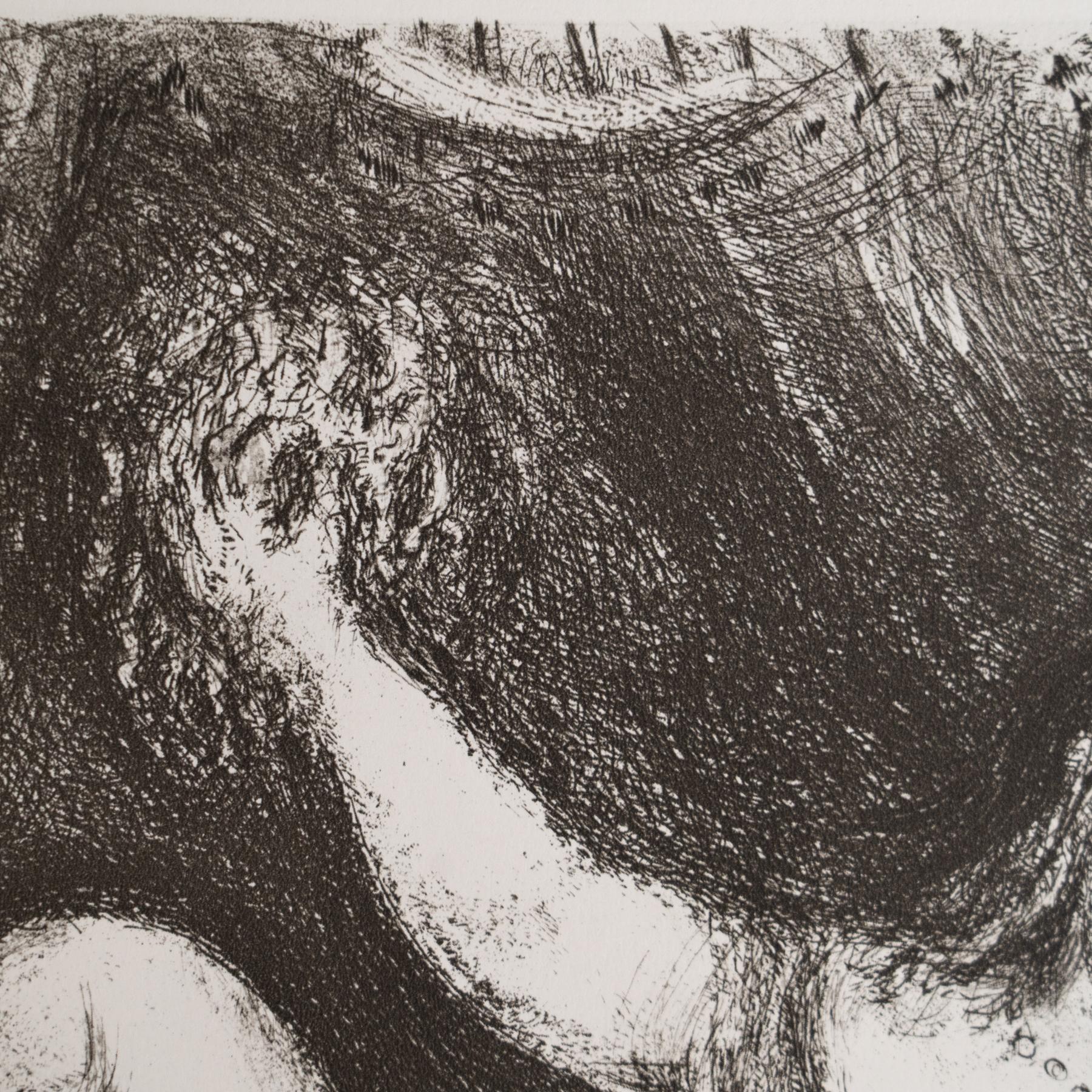 Stampa eliografica di Marc Chagall incorniciata della Collection'S 1956 Bible in vendita 1