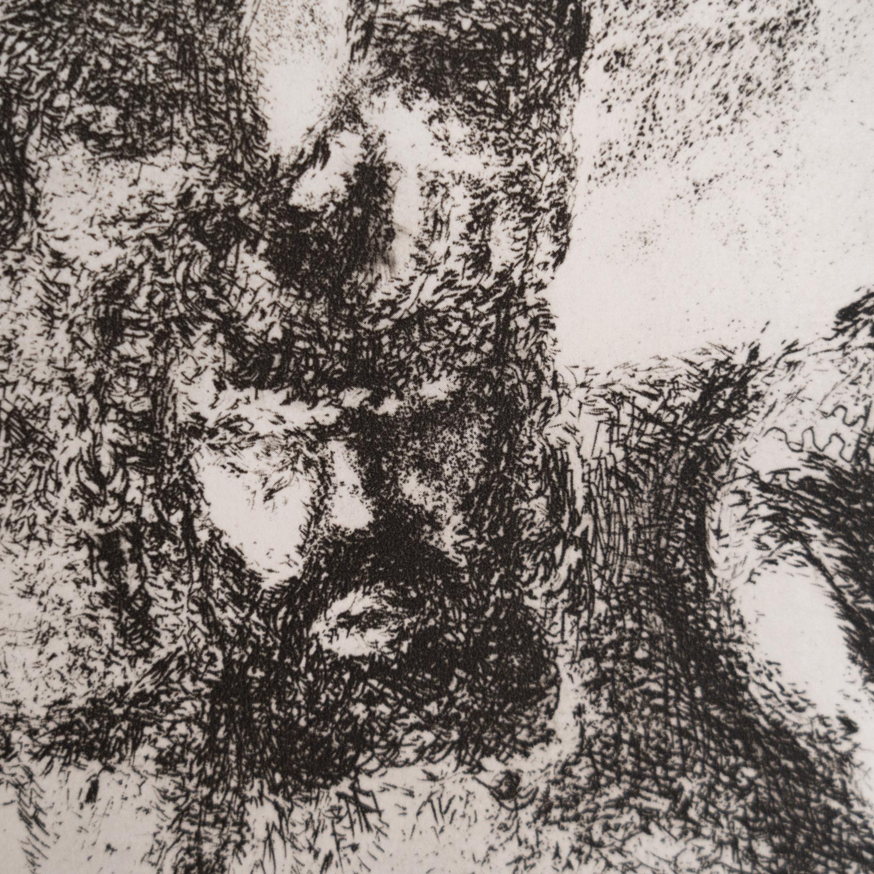 Heliograbado de Marc Chagall de su icónica serie bíblica, 1956 mediados del siglo XX en venta