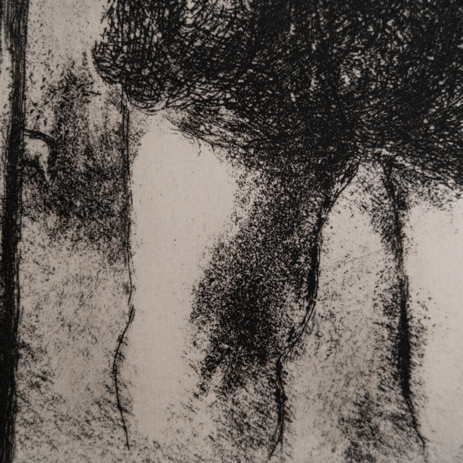 Heliograbado de Marc Chagall de su icónica serie bíblica, 1956 Papel en venta