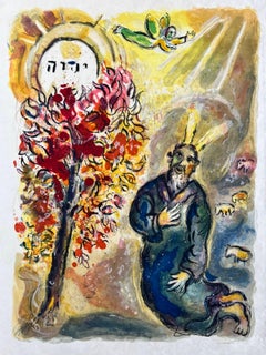 Allora l'Angelo del Signore gli apparve in una fiamma di fuoco... - L'Esodo