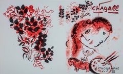 Couverture (Cover-jacket)