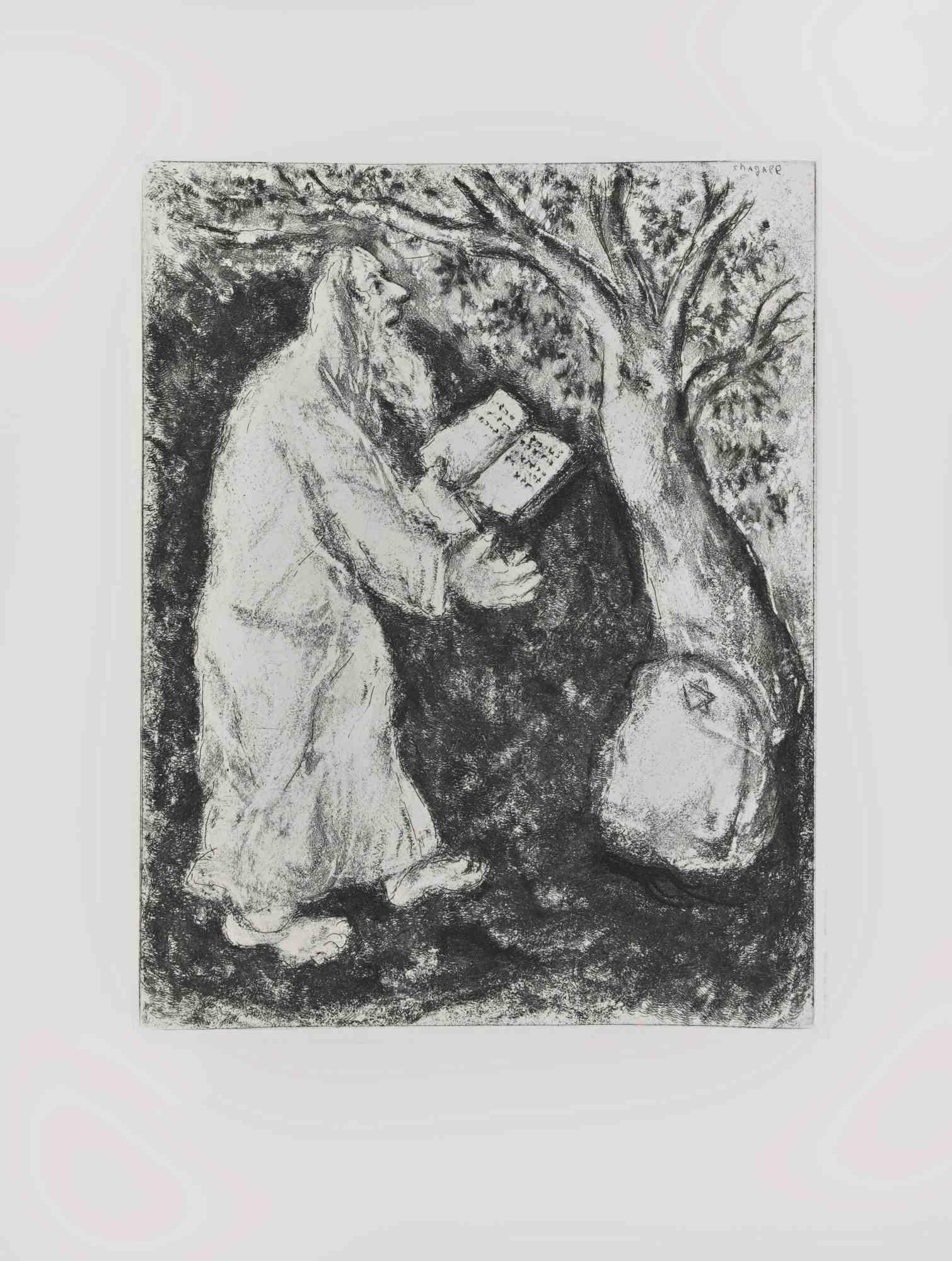 Aguafuerte sobre papel tejido Montval, realizado por Marc Chagall en 1931-39 y publicado por Tériade en 1956.

Pertenece a la serie "La Biblia".

Edición de 275+30 ejemplares fuera de comercio.

No está firmado ni numerado, tal como se