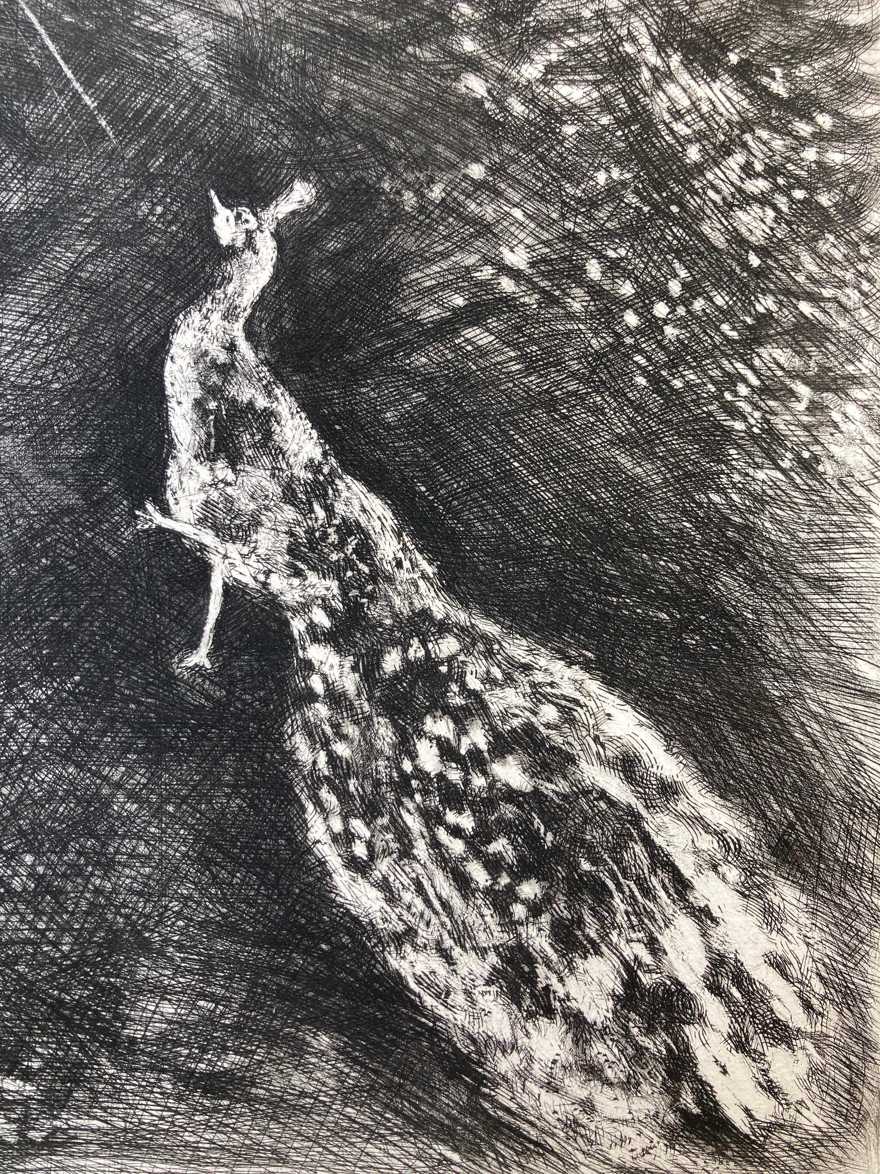LE PAON SE PLAIGNANT A JUNON - Il pavone che si lamenta con Giunone - Print di Marc Chagall