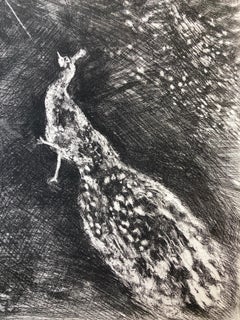 LE PAON SE PLAIGNANT A JUNON - The Peacock Complaining to Juno
