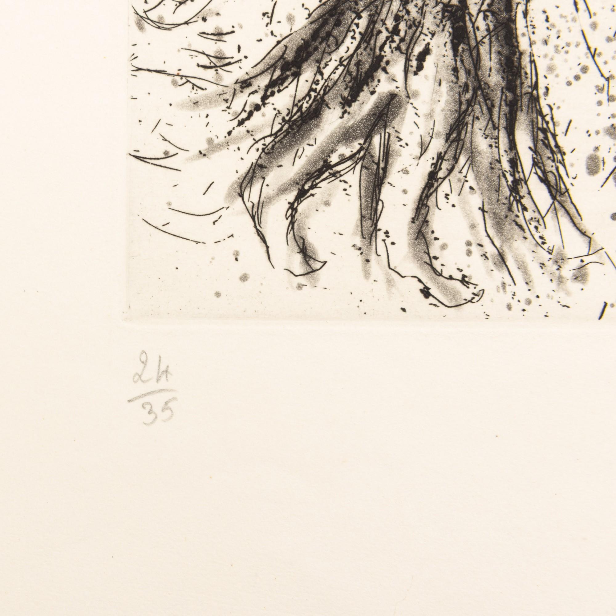 Marc Chagall (1887–1985) - Le Cirque fantastique - Etching on paper - 1967 For Sale 2