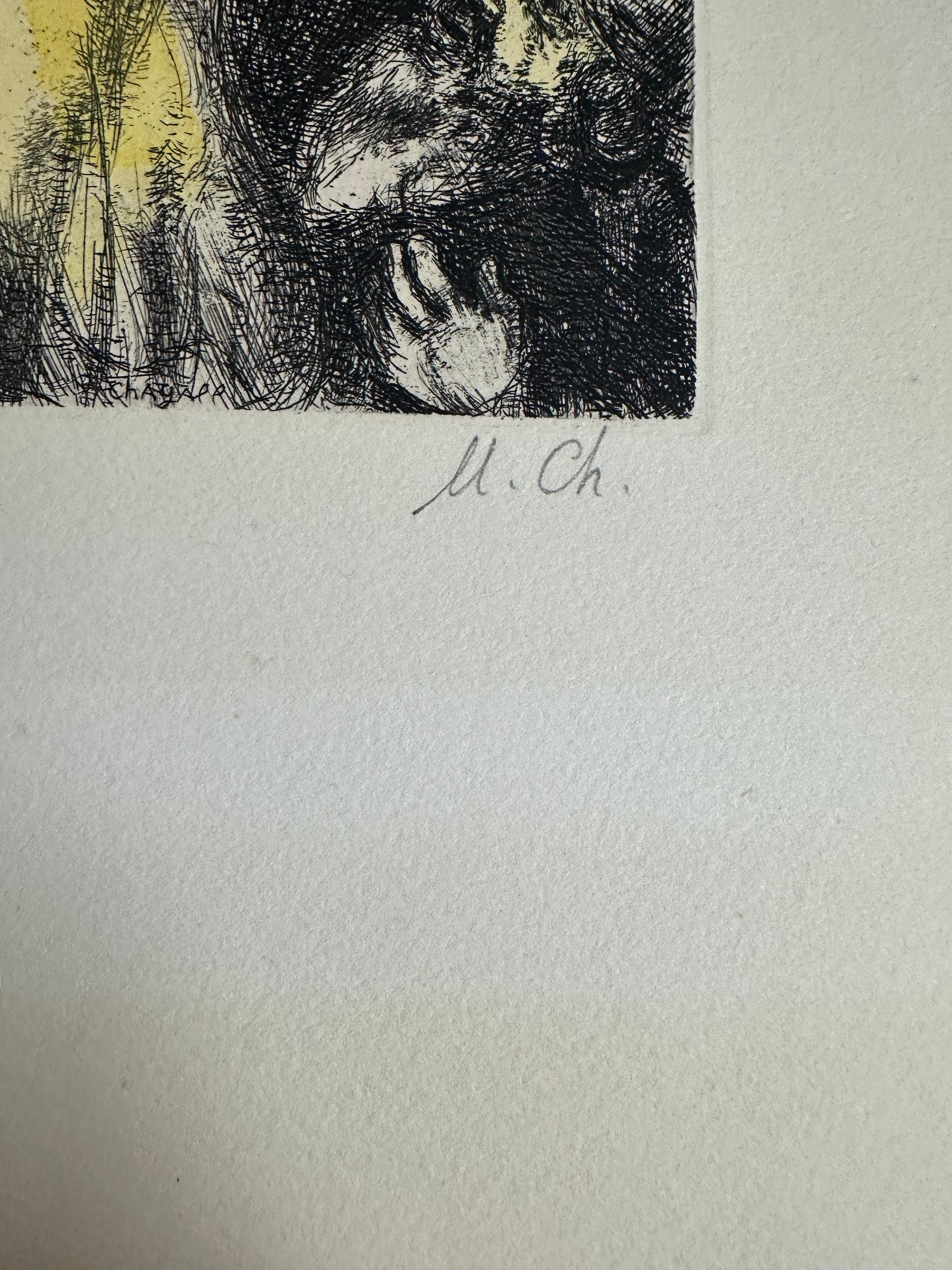 Marc Chagall, Dunkelheit über Ägypten, Radierung; handkoloriert im Angebot 2