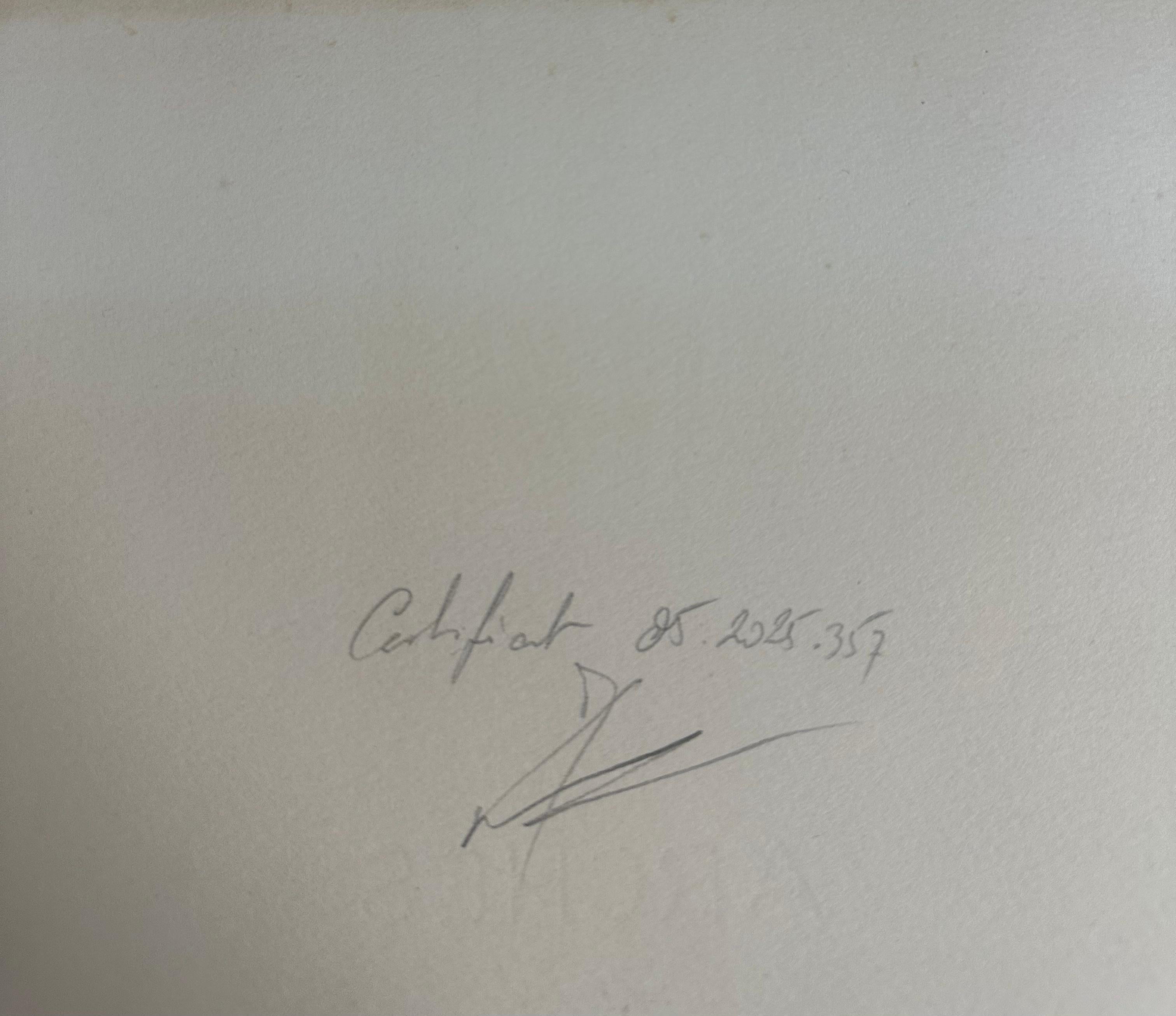 Marc Chagall, Dunkelheit über Ägypten, Radierung; handkoloriert im Angebot 4
