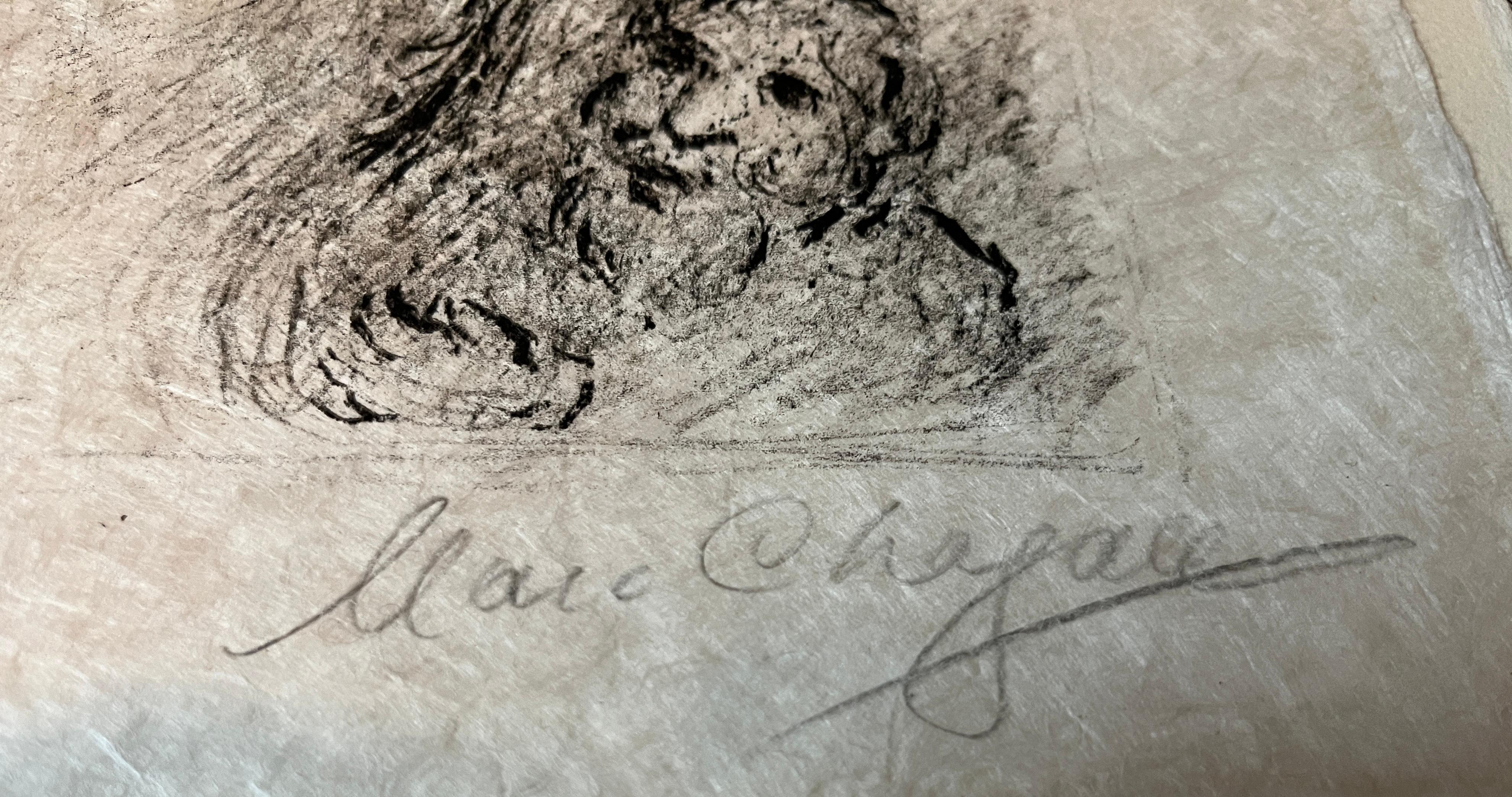 Lithographie sur papier nacré du Japon.  Signé par l'artiste au crayon, en bas à droite.  Numérotée 19/50 au crayon, en bas à gauche.  

Référence du catalogue raisonné : Mourlot 93
