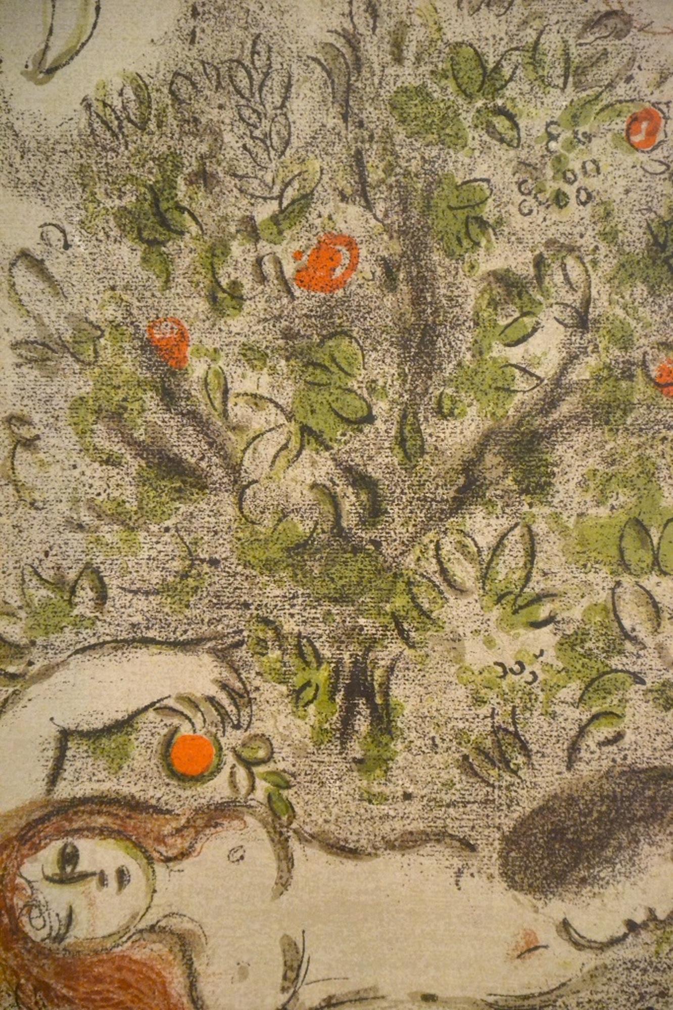 Paradise - from the series 