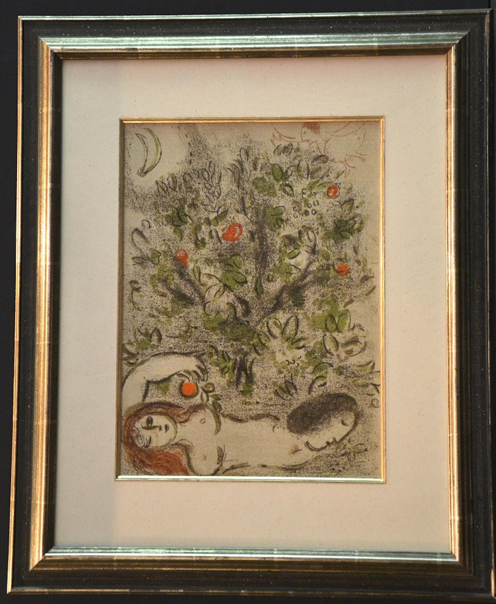 Paradise - from the series 