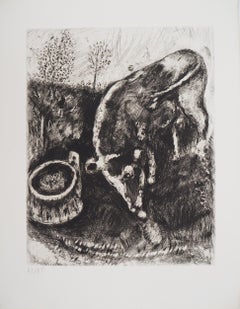 The frog who wanted to be as big as the ox- Original etching - Ref. Sorlier #196