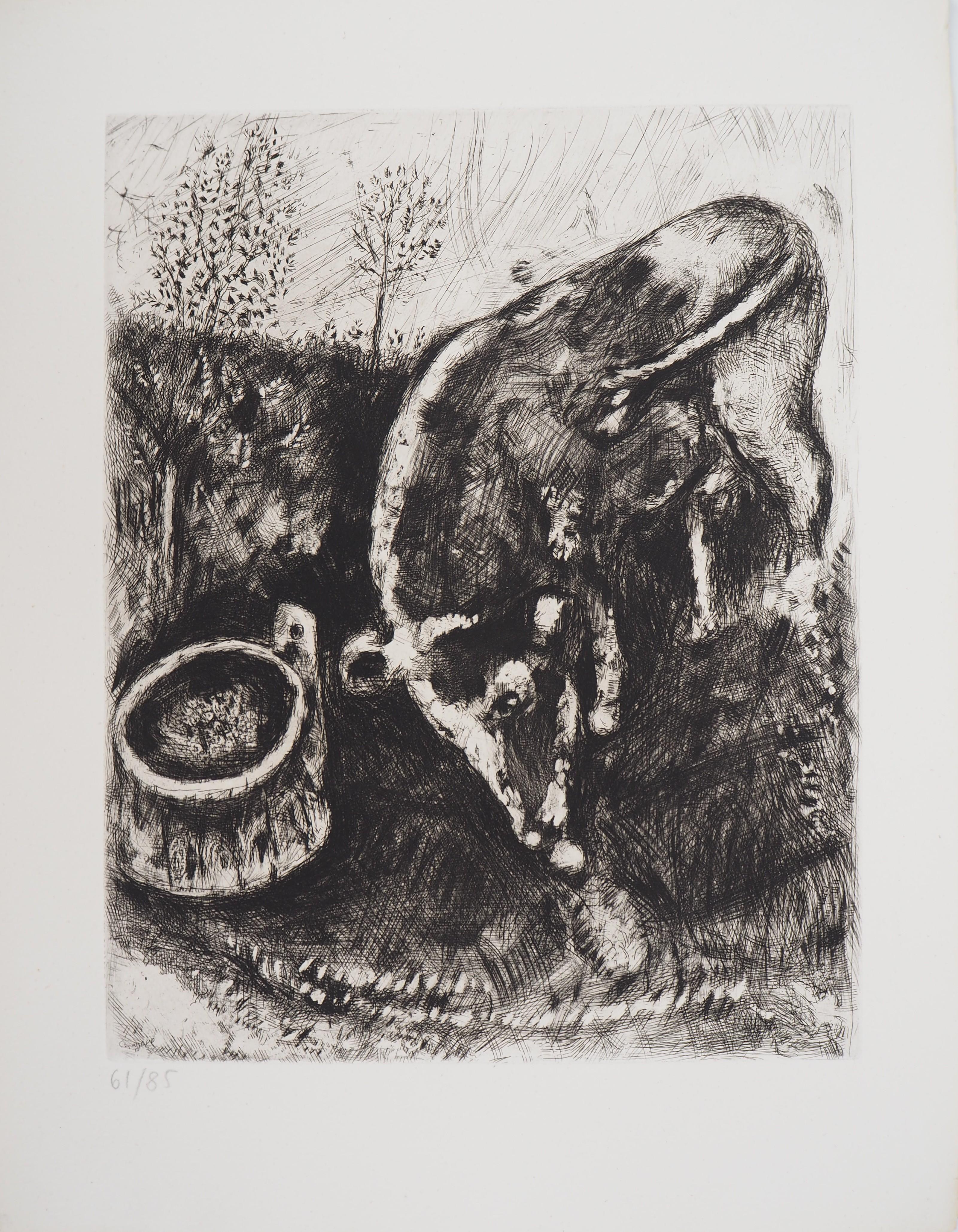 Marc Chagall Animal Print - The frog who wanted to be as big as the ox- Original etching - Ref. Sorlier #196