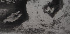 The Turtle and Two Ducks - Original etching - Ref. Sorlier #187