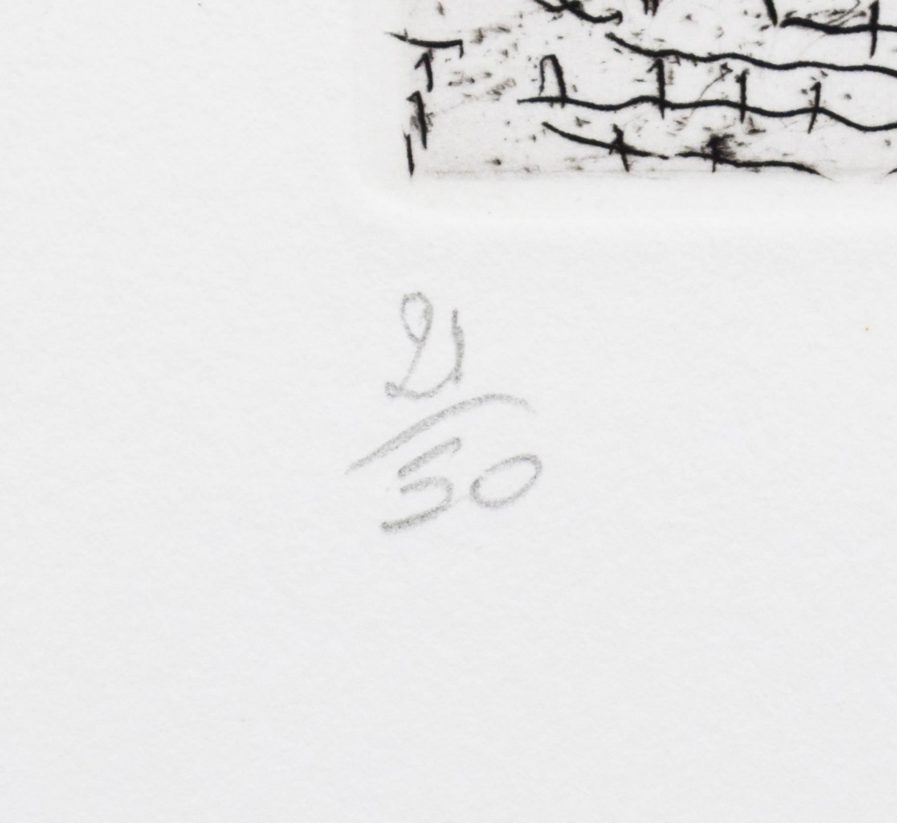 This original etching and aquatint in colours is hand signed in pencil by the artist 