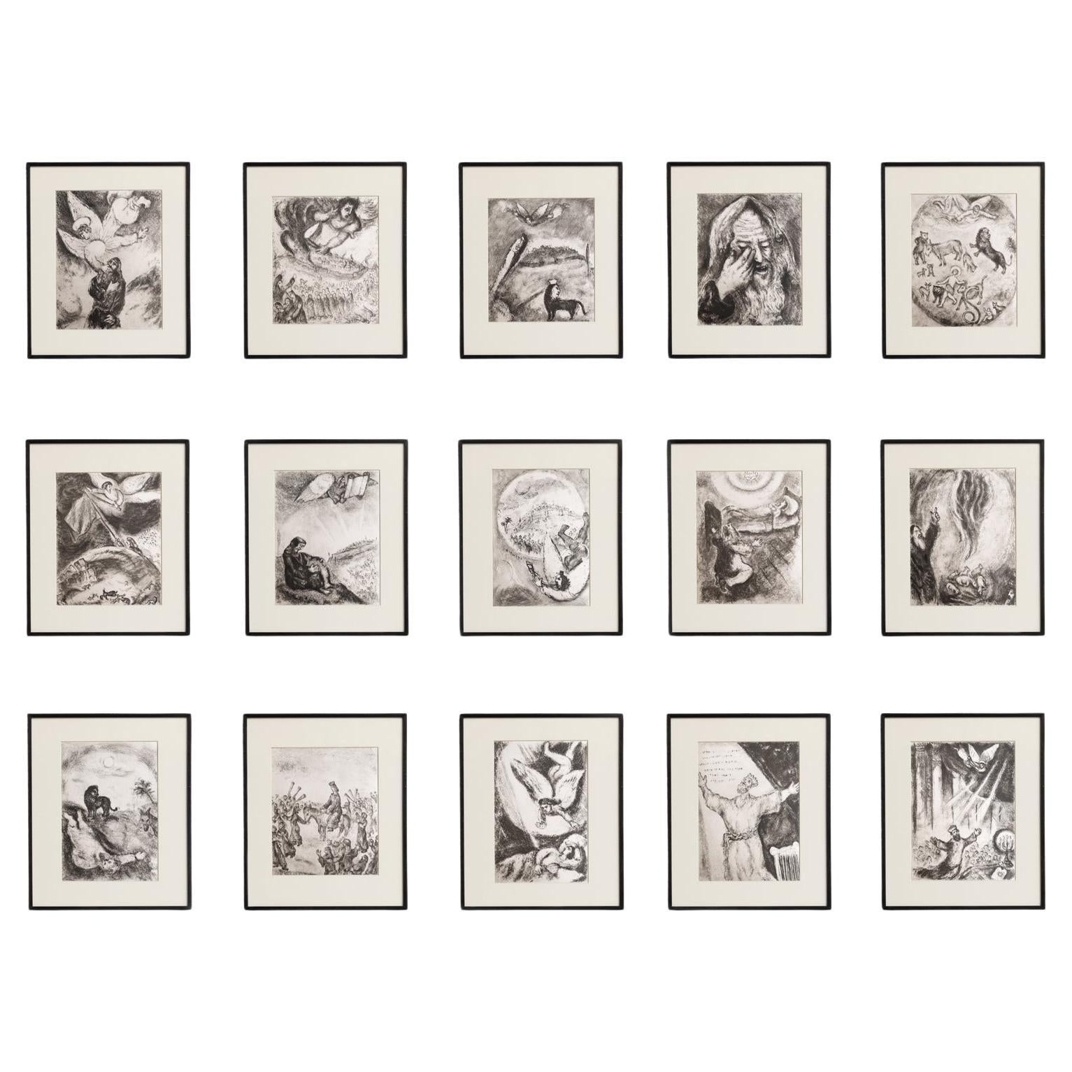 Set di 15 stampe eliografiche incorniciate della serie Bibbia del 1956 di Marc Chagall