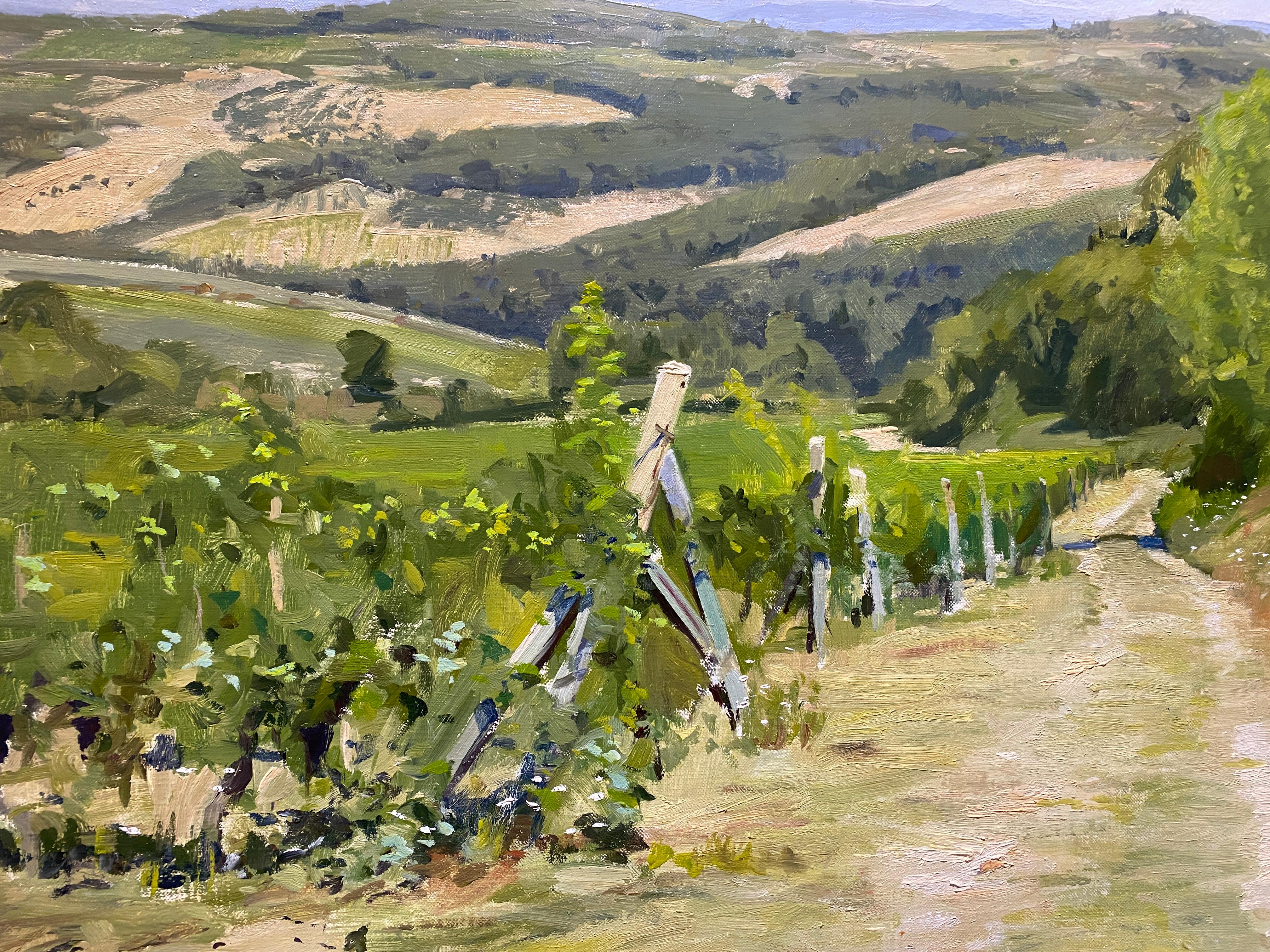 An oil painting by American plein-air painter Marc Dalessio. A  depiction of the rolling hills of Tuscany. Cultivated nature lives on the left with the vineyard organized with fenceposts, while wildflowers grow freely on the right in dashes of white
