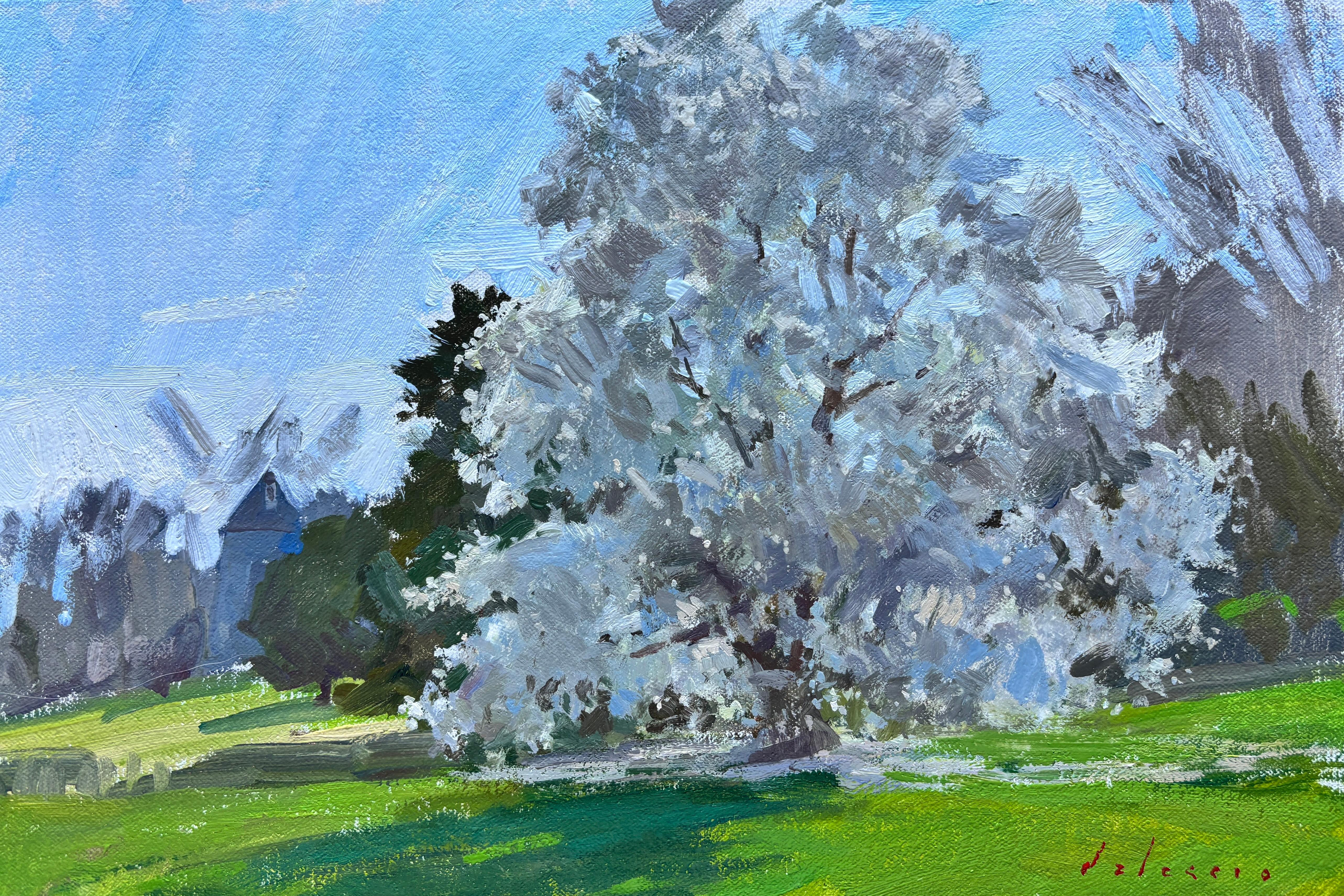 "Star Magnolia, East Hampton" peinture à l'huile arbre flore en fleurs dans The Hamptons