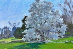 "Star Magnolia, East Hampton" oil painting blossoming flora tree in The Hamptons