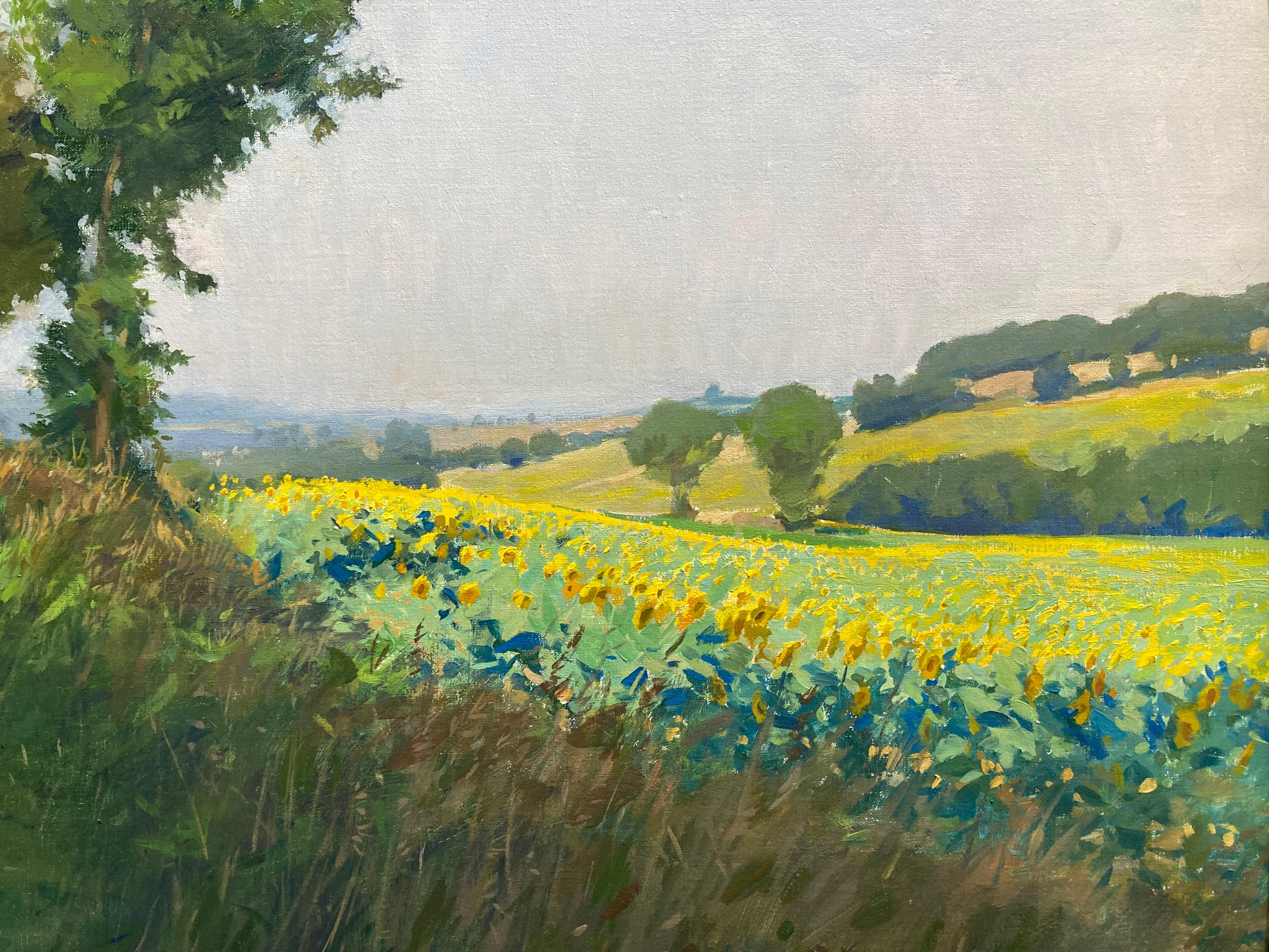 « Tournesols près de Jegun », peinture à l'huile de champ en France, vert, jaune 5