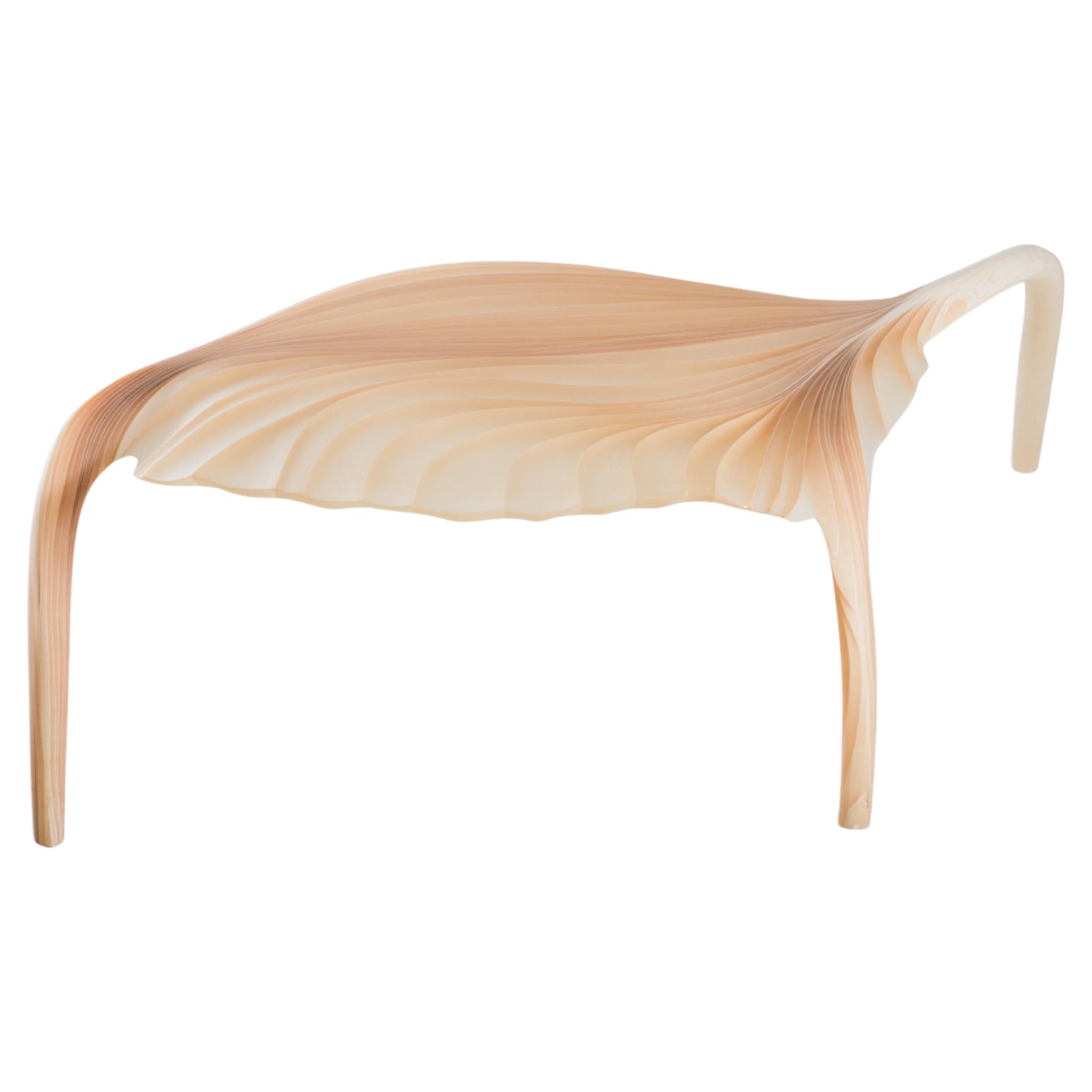 Marc Fish Ethereal Sculptural Organic Low Table Sycamore and Resin Uk 2022 For Sale