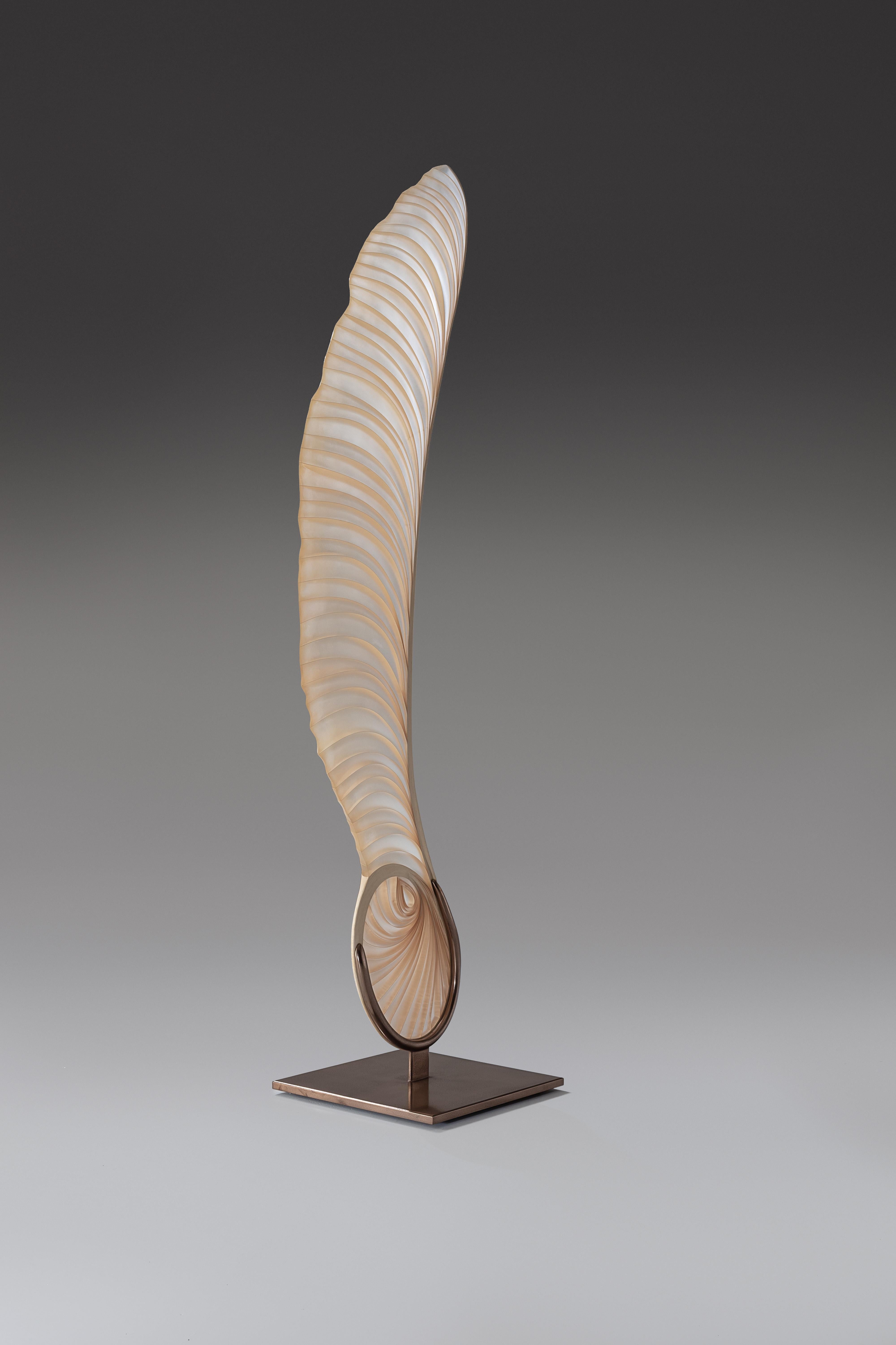 British Marc Fish Ethereal Sculptural Sycamore Seed UK 2022 For Sale