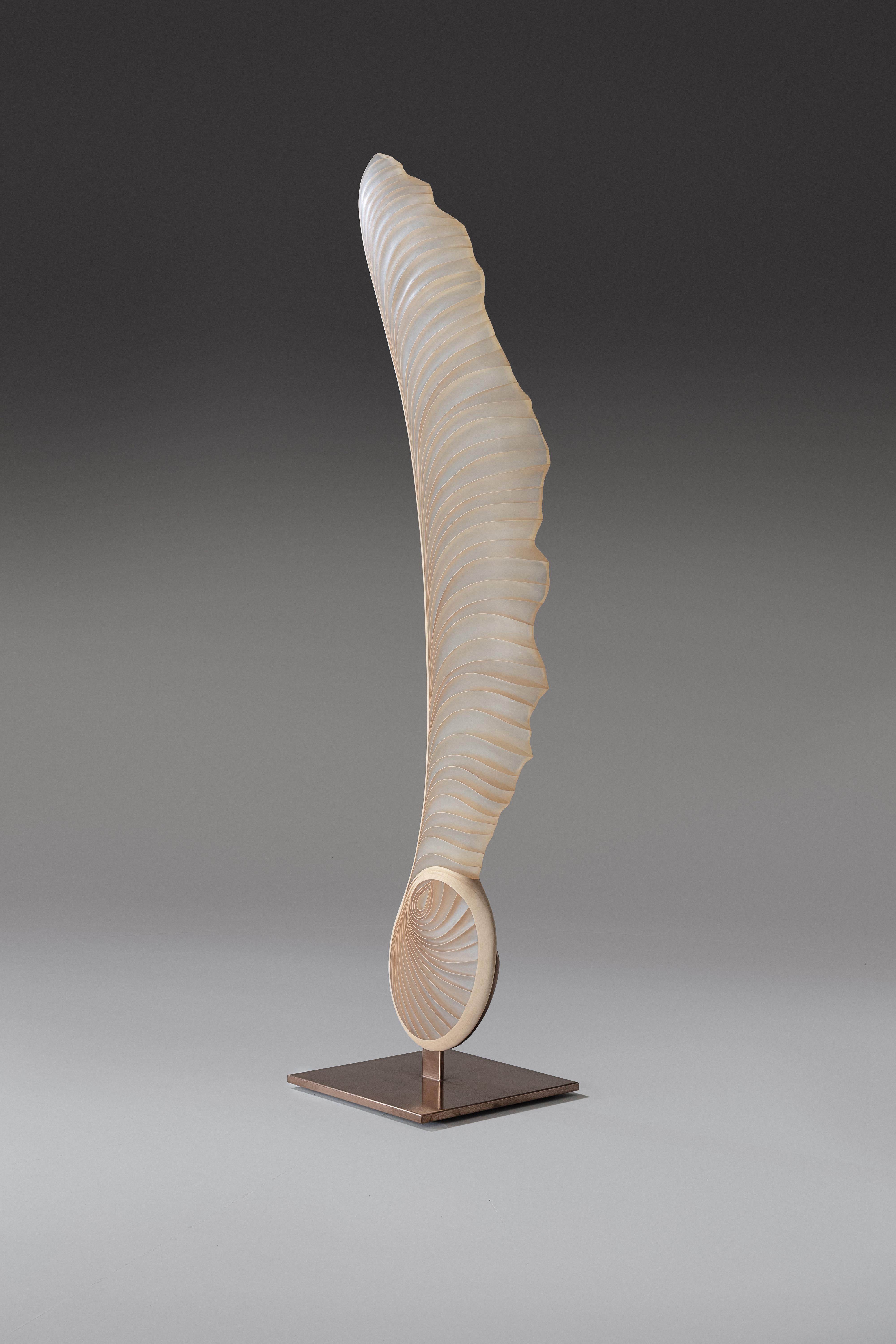 Woodwork Marc Fish Ethereal Sculptural Sycamore Seed UK 2022 For Sale