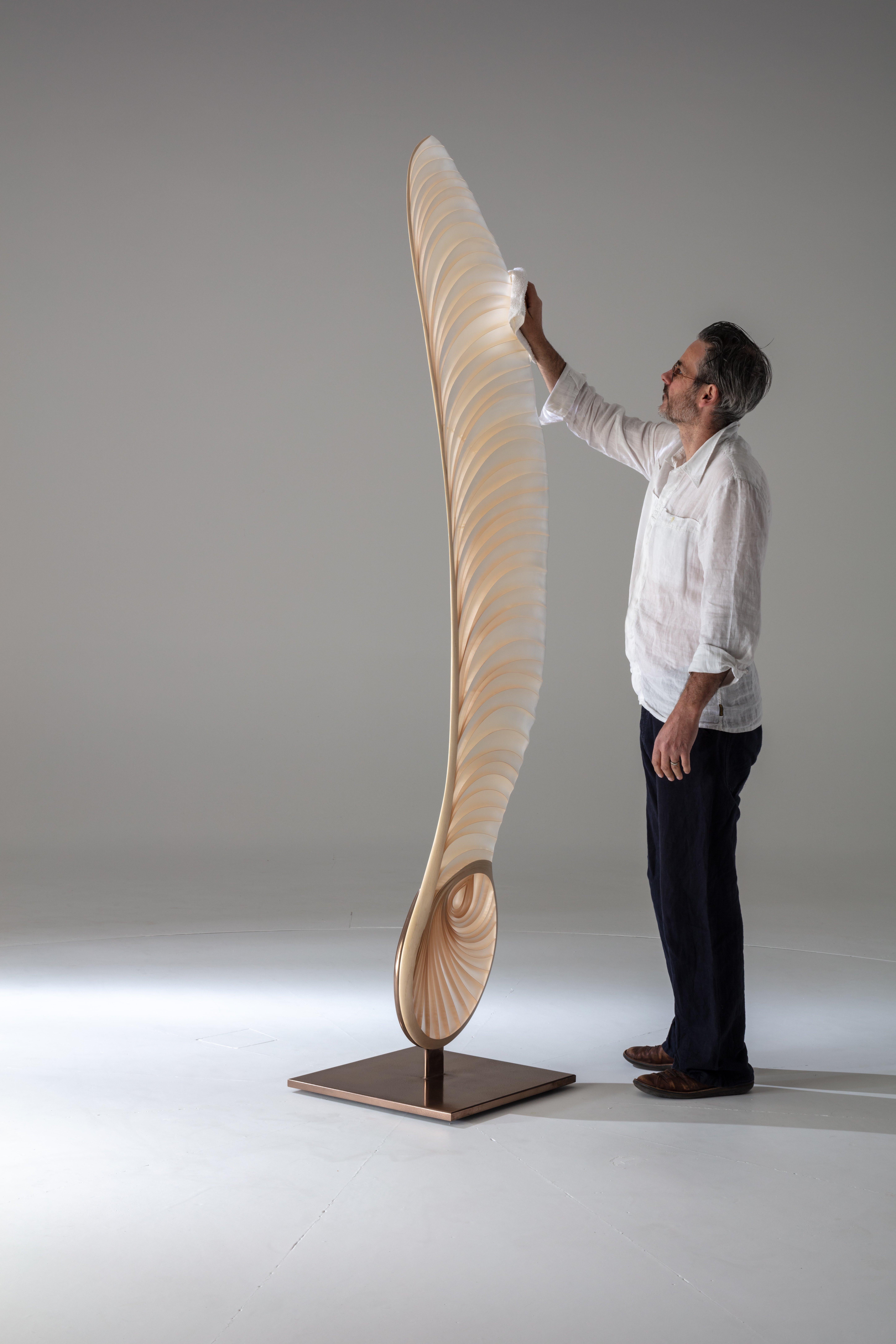 Ethereal Sycamore Seed Sculpture by International Artist Marc Fish. Made from sycamore and resin in a very organic sculptural form. Elegant and sinuous the sculpture shows grace and warmth whilst evoking nostalgia. The Ethereal Sycamore Seed