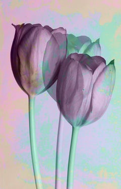 Paisaje floral