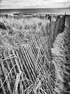 Fence By The Sea, Black and White Landscape Photography, 2011