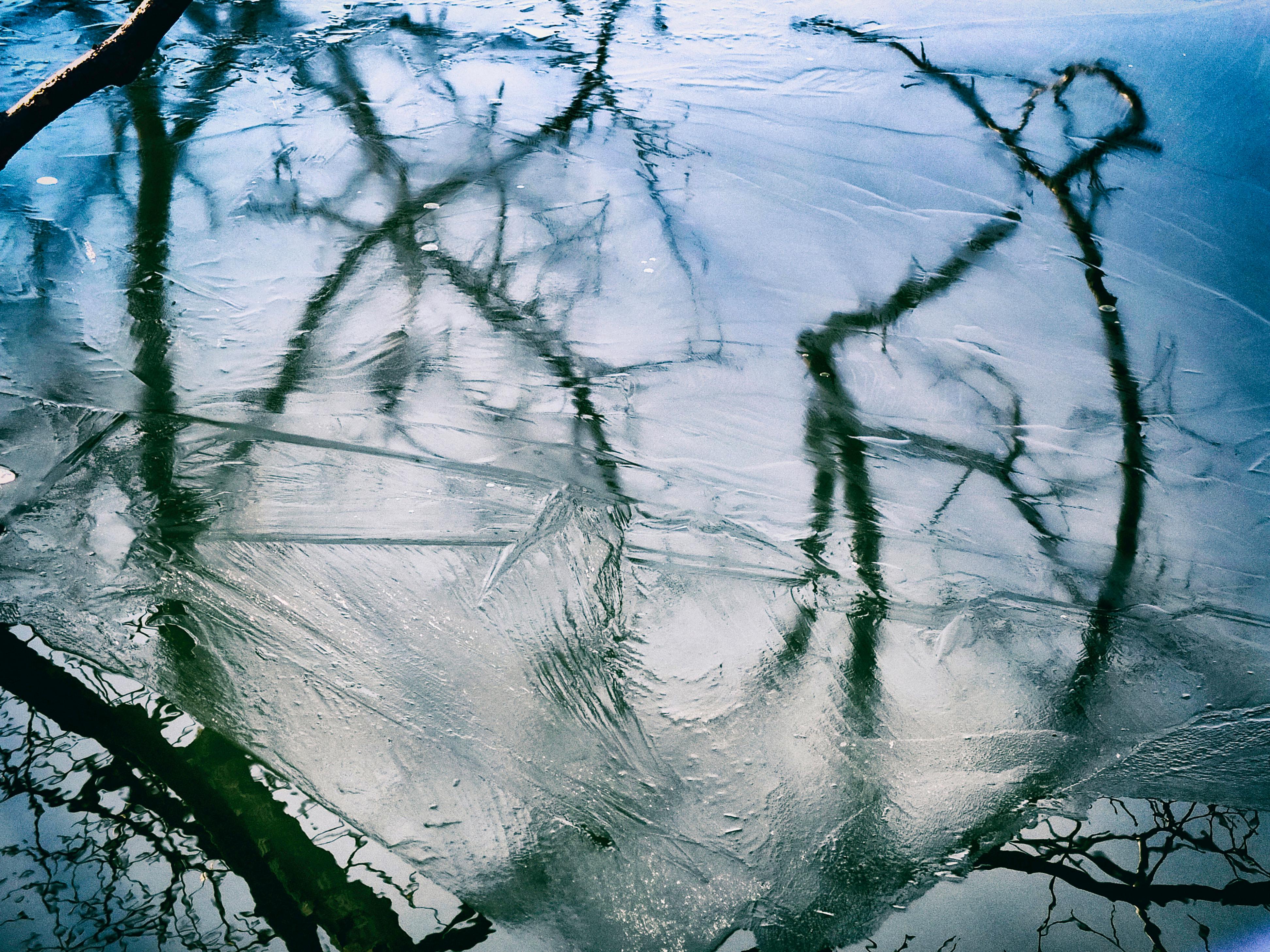 Eiskunst, Winterszenen-Naturfotografiedruck, 2015