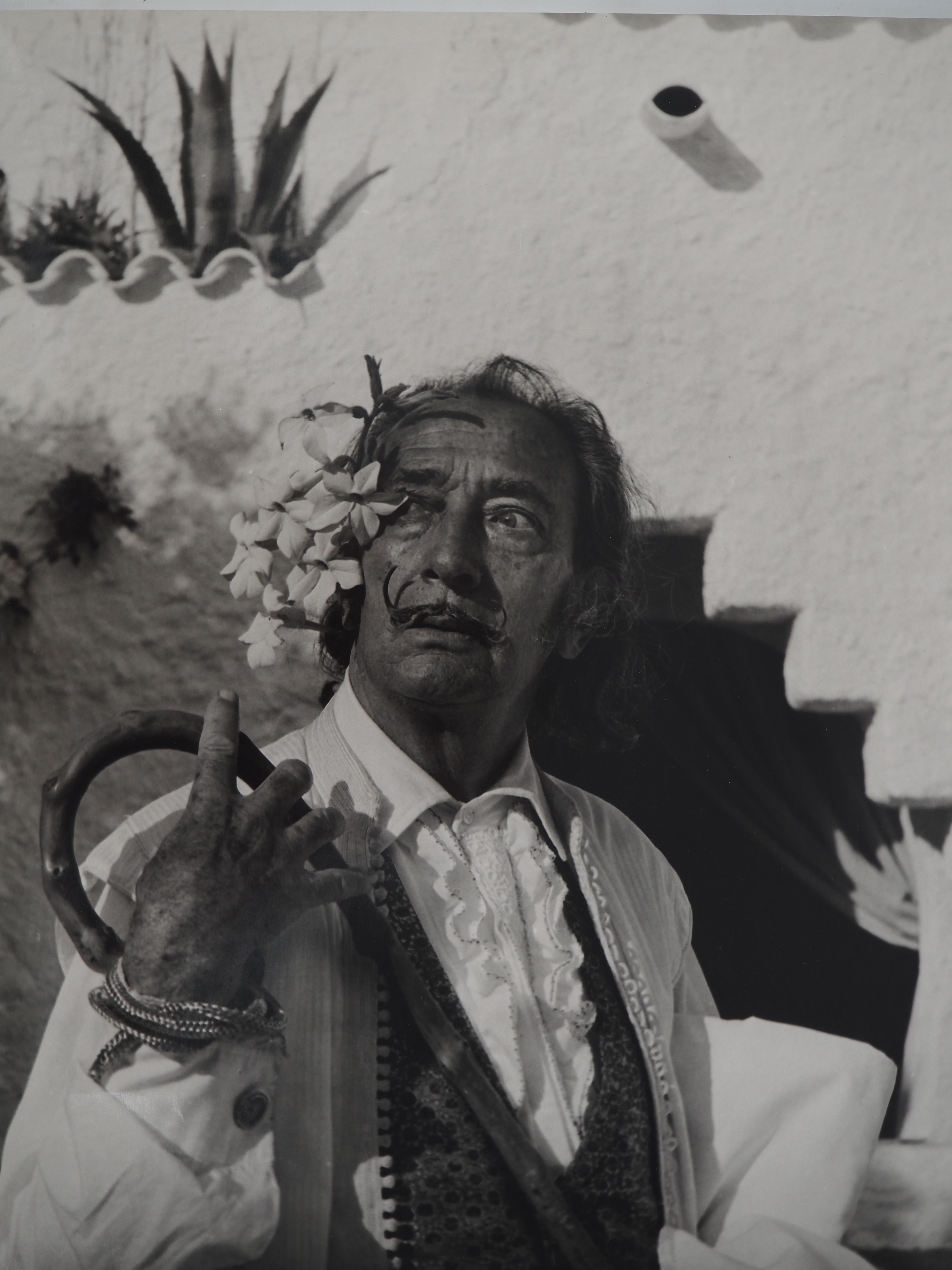 Dalí mit weißen Blumen - Original Gelatine Silber Fotografie, SIGNIERT – Photograph von Marc Lacroix