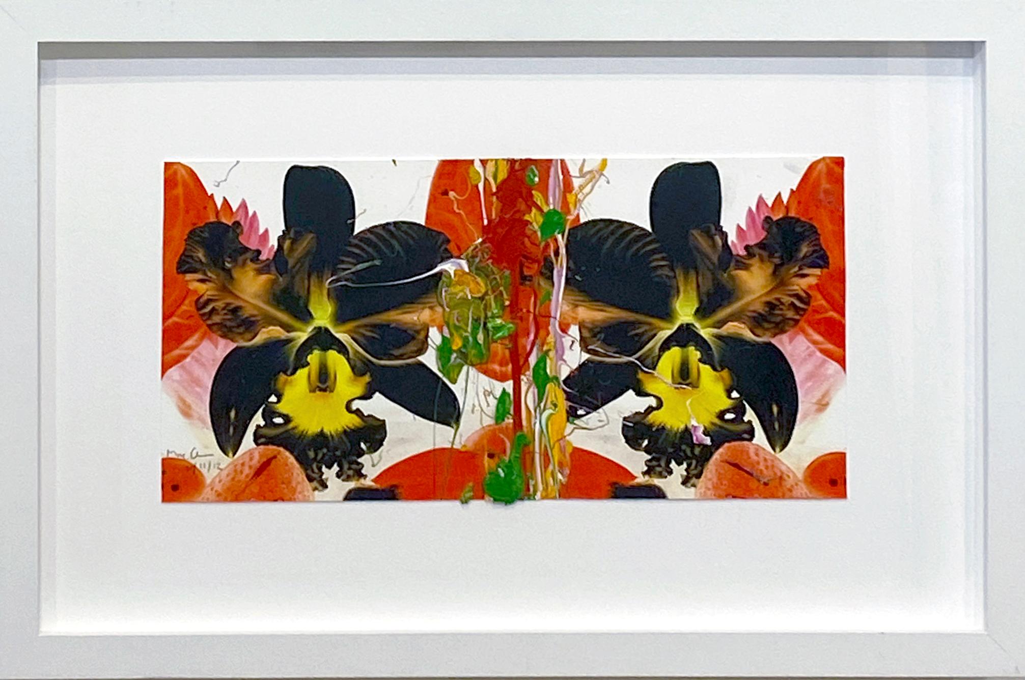 Untitled - Mixed Media Art by Marc Quinn