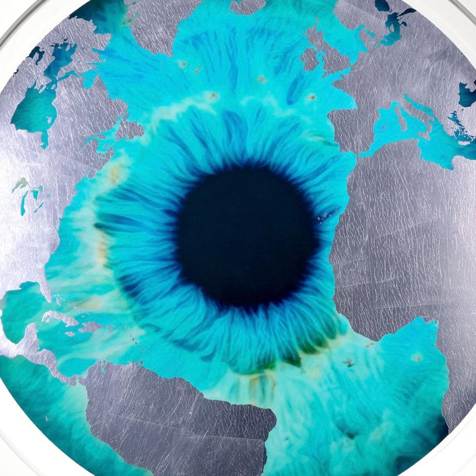 'Raw Earth' Iris with Silver Leaf est une sérigraphie sur papier créée en 2023 par Marc Quinn. Ce tirage signé est une édition exclusive de seulement 50 exemplaires. Les dimensions de l'encadrement personnalisé sont de 41,5 x 41,5 x 2 po. / 109 x