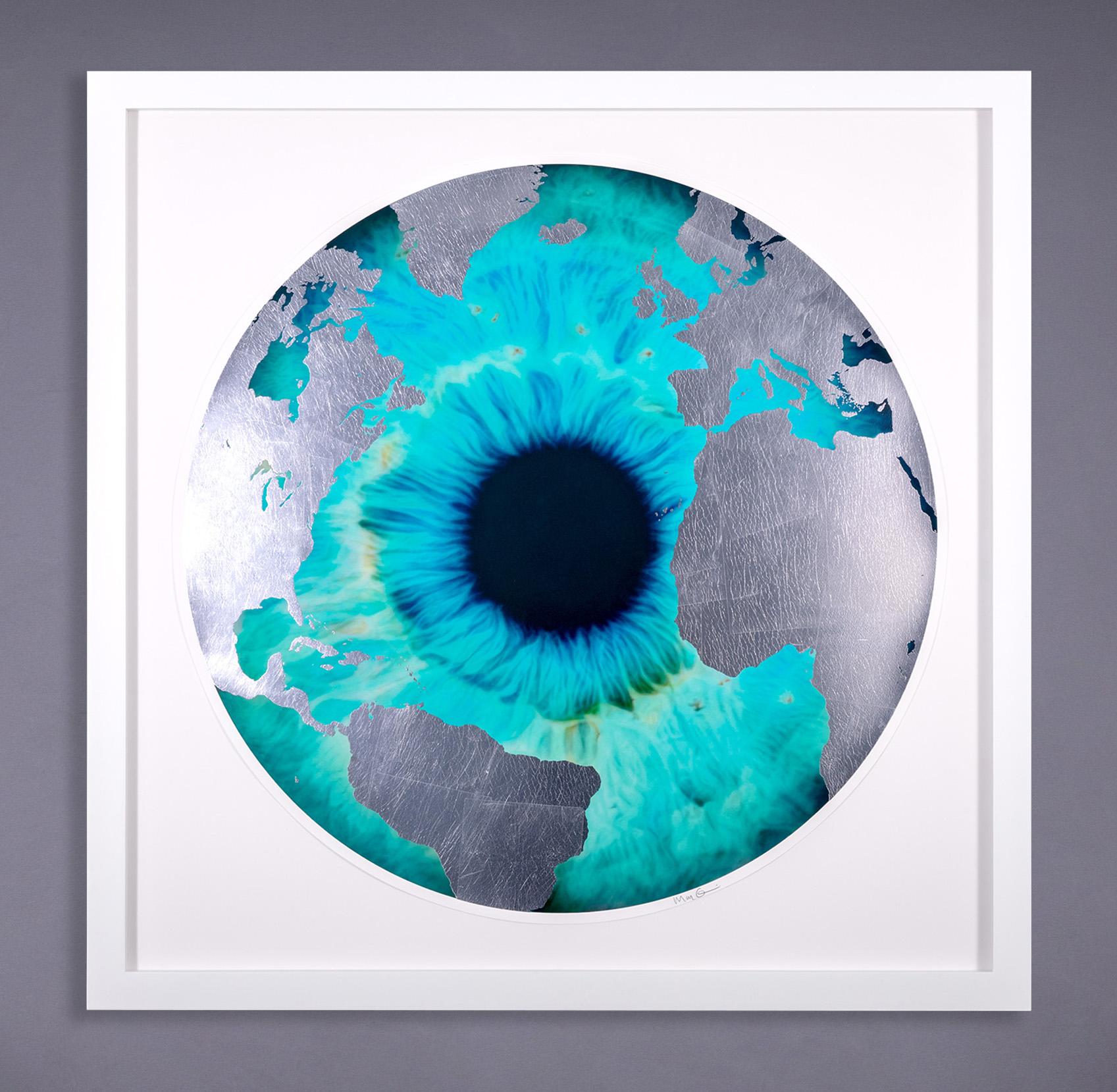 Archival Screen Print with Silver Leaf, 'Raw Earth' Iris, 2023 For Sale 2
