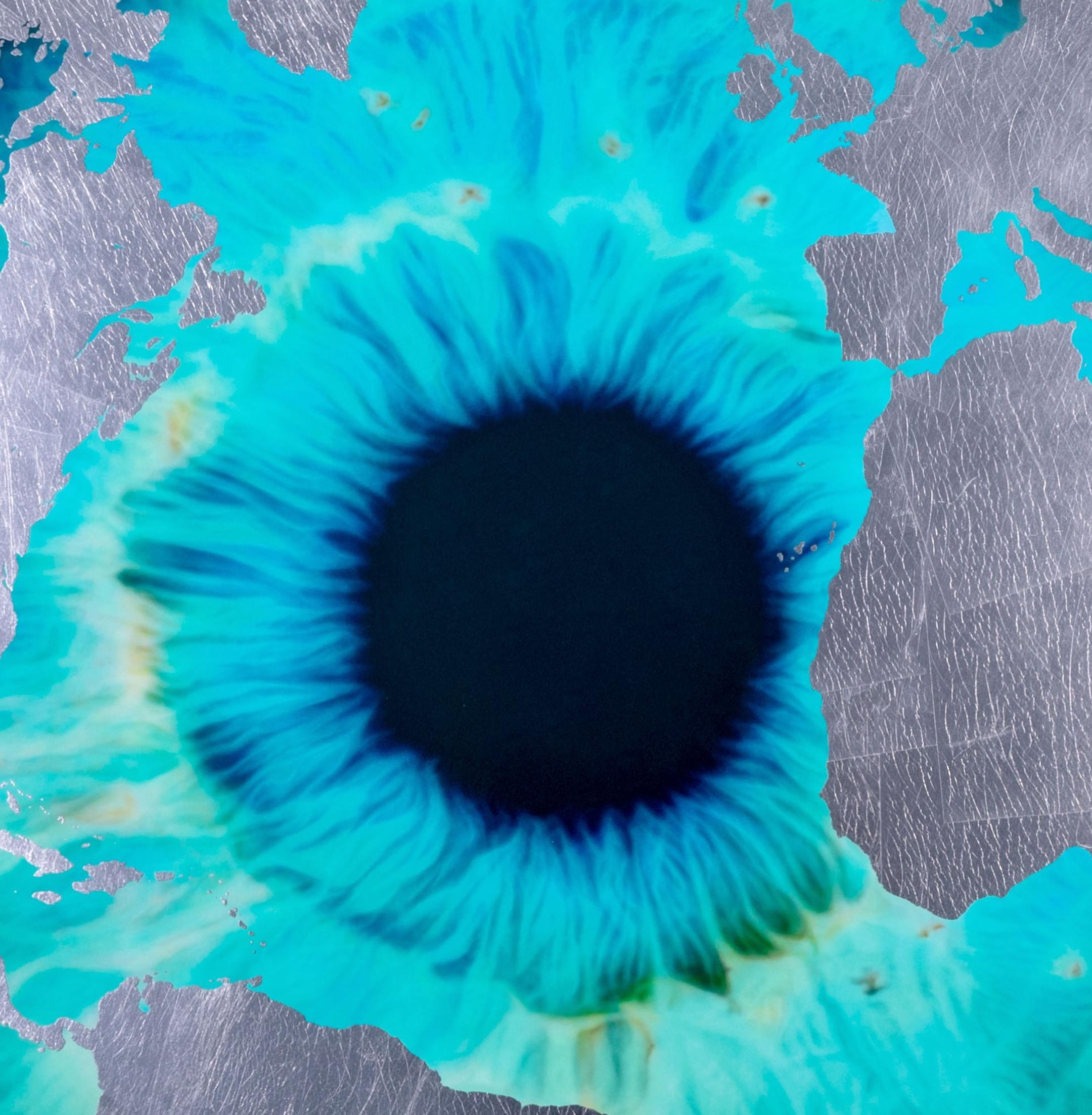 Iris 'Raw Earth' mit Blattsilber  ist ein Siebdruck auf Papier aus dem Jahr 2023 von Marc Quinn. Dieser signierte Druck ist eine exklusive Edition von 50 Exemplaren, signiert vom Künstler auf der Vorderseite, nummeriert auf der Rückseite, Nummer #16