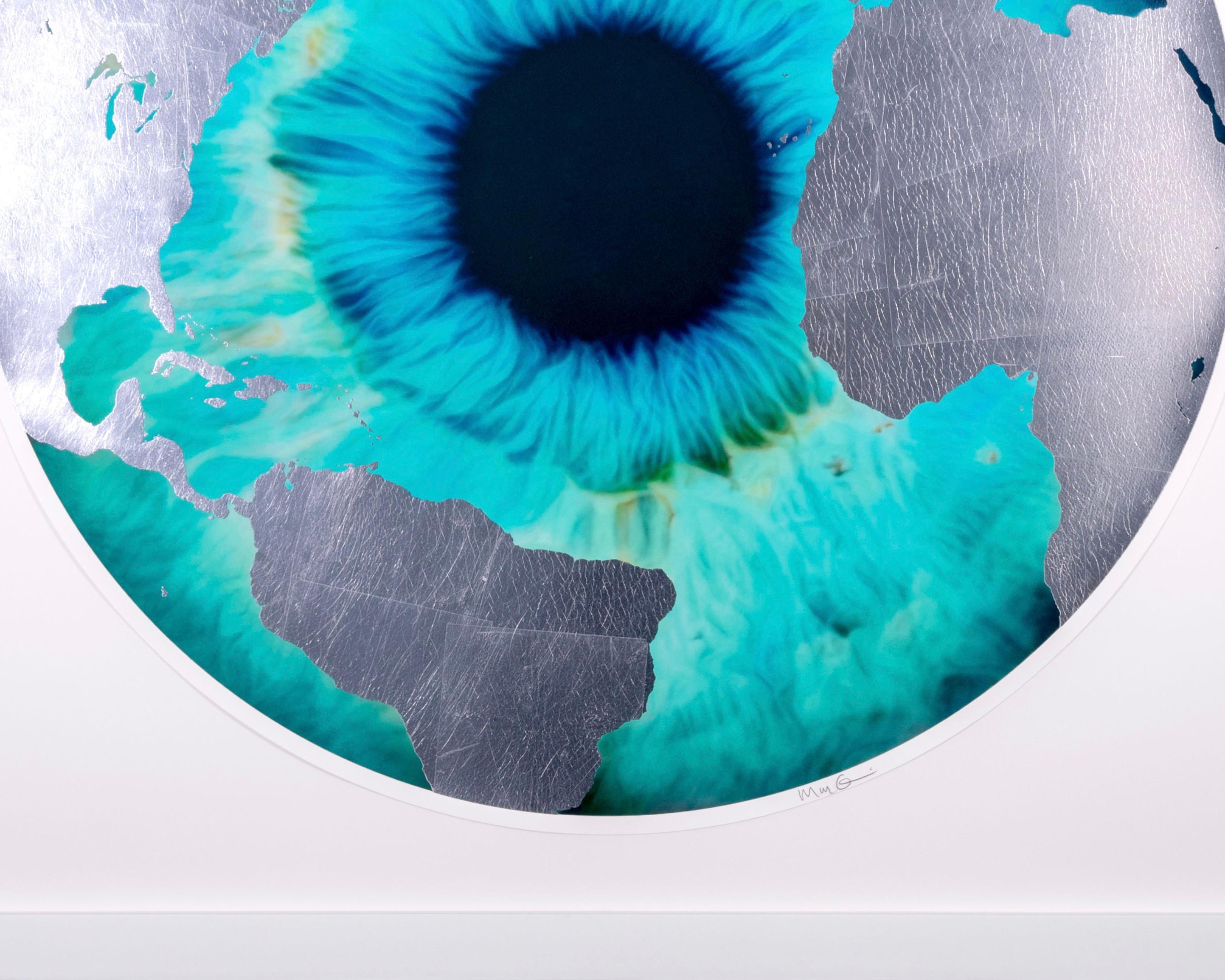 Archival Screen Print with Silver Leaf, 'Raw Earth' Iris, 2023 For Sale 4