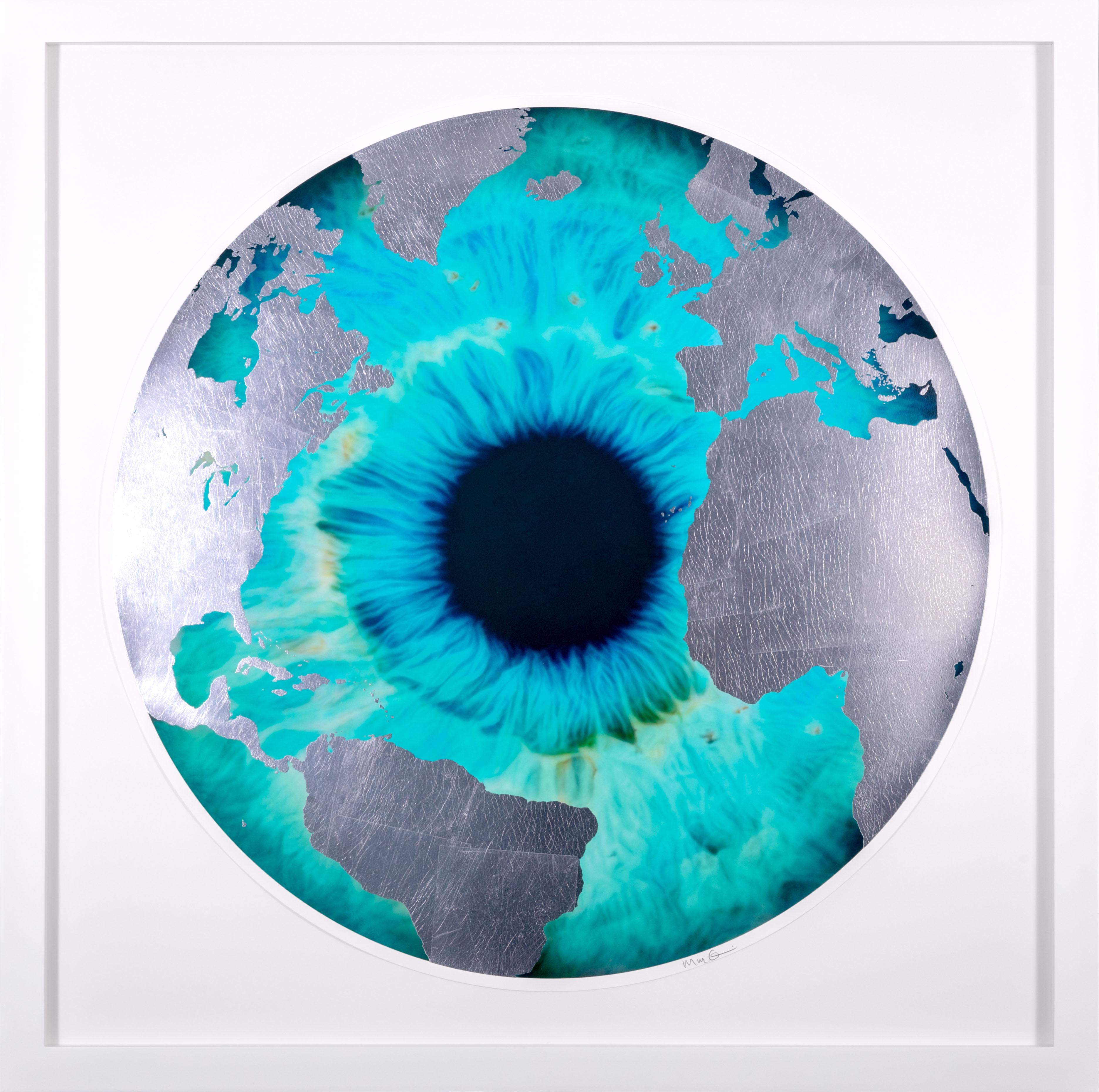 Marc Quinn Abstract Print - Archival Screen Print with Silver Leaf, 'Raw Earth' Iris, 2023