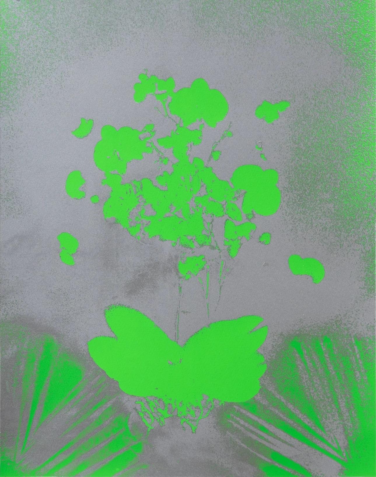 Herbario Verde