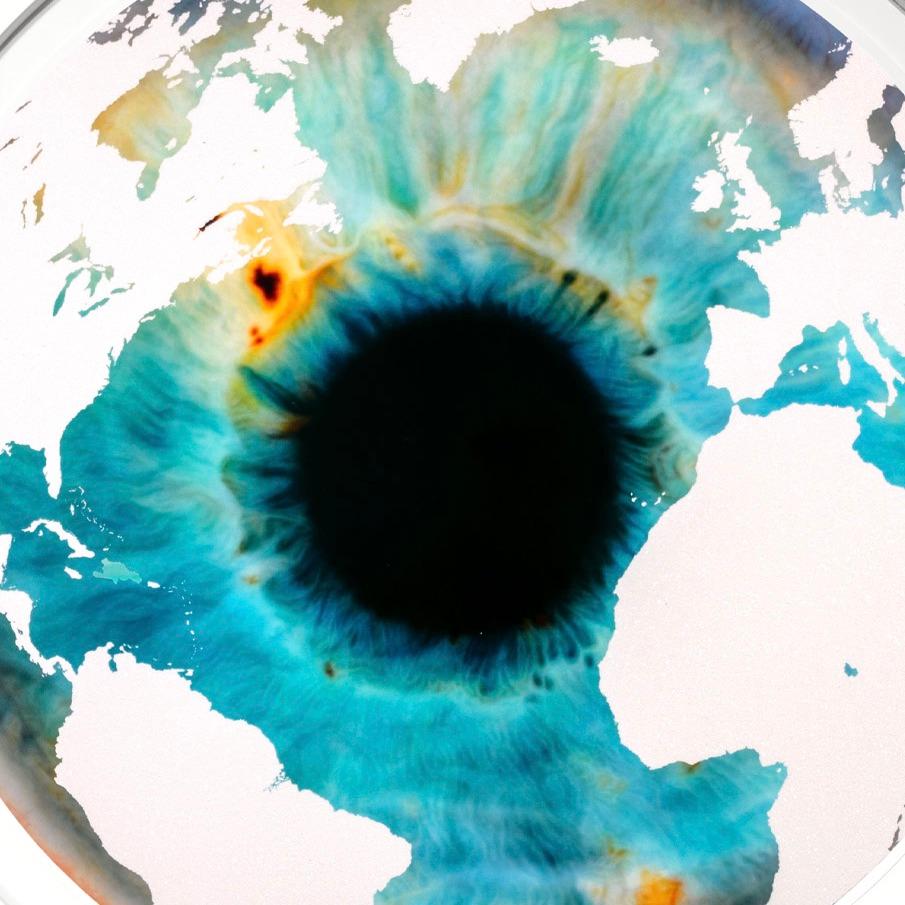 Écran d'art Iris « Ice Age » avec poussière de diamants, 2023 en vente 2