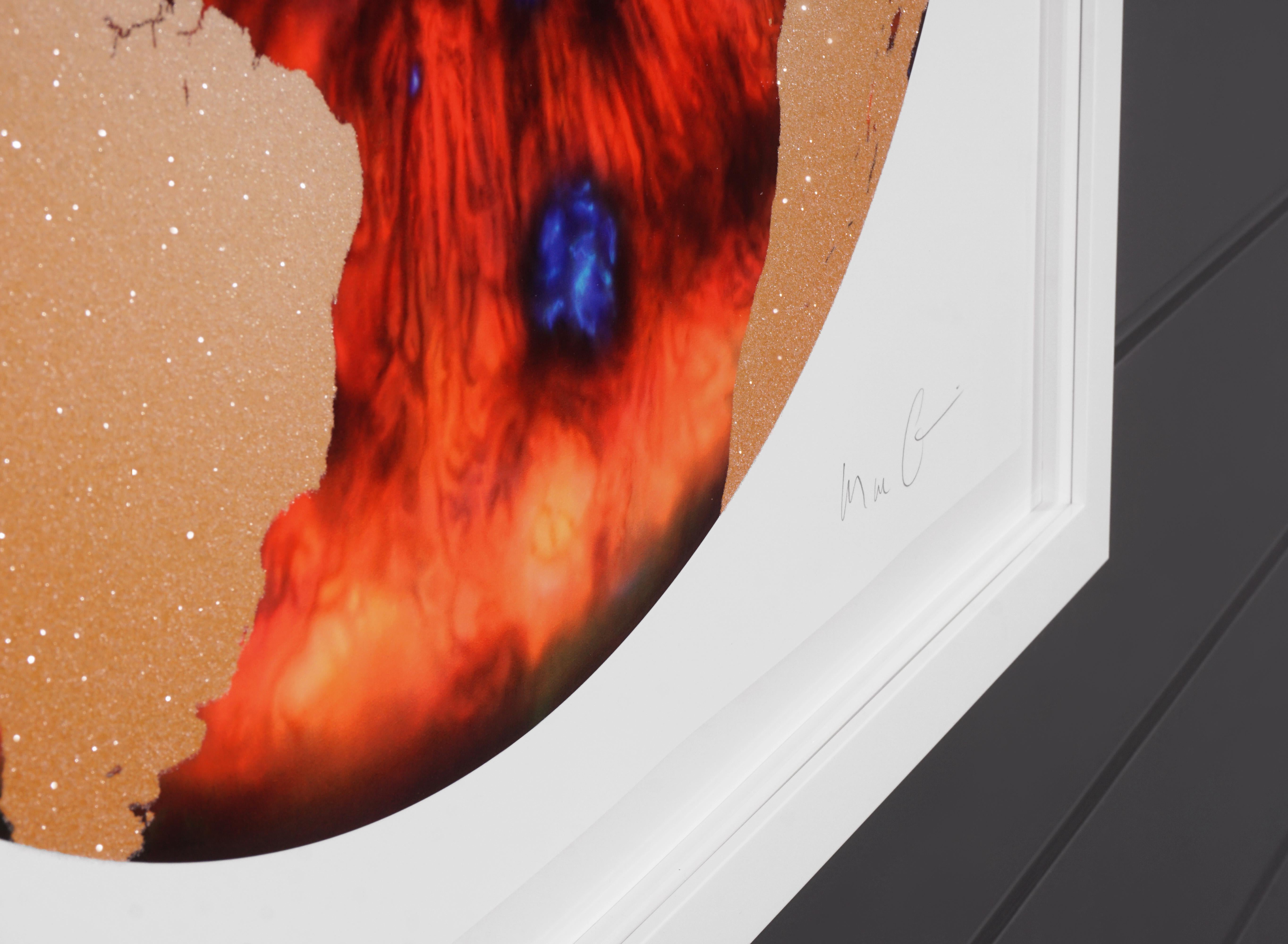 Marc Quinn, 'Iris' with Diamond Dust, Red/Gold, 2020 6