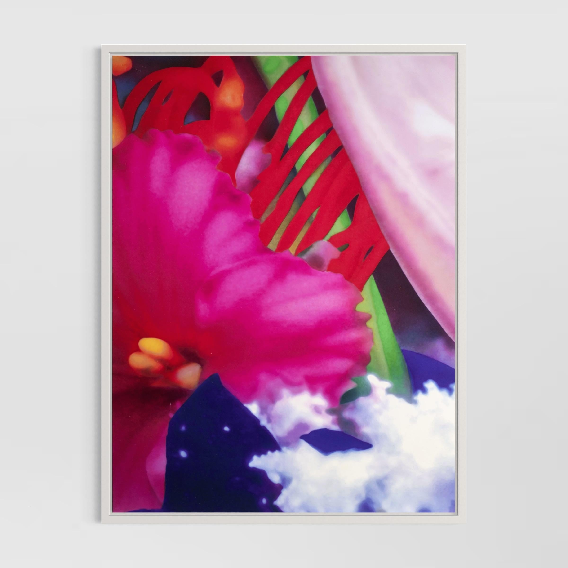 Portraits of Landscapes (Portfolio of 8) by Marc Quinn For Sale 3