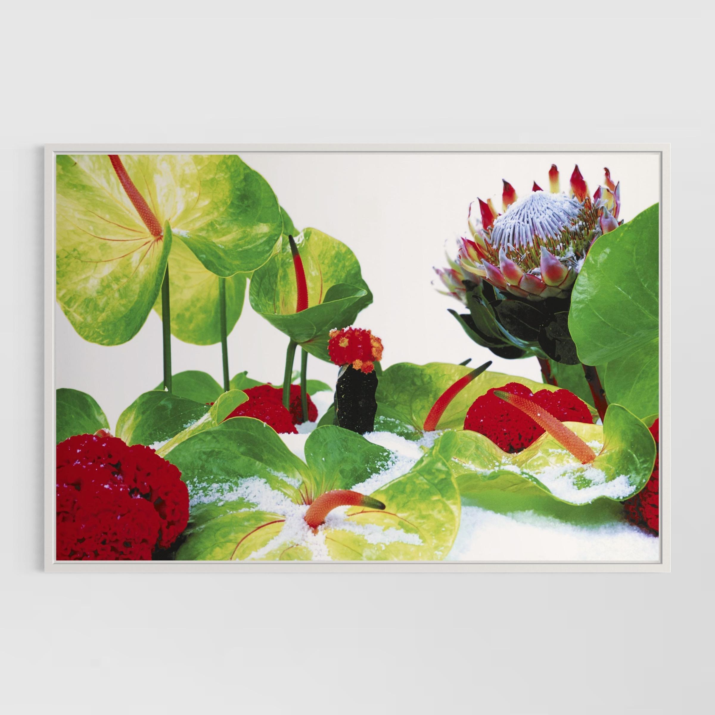 Winter Garden (Portfolio of 8) by Marc Quinn For Sale 8