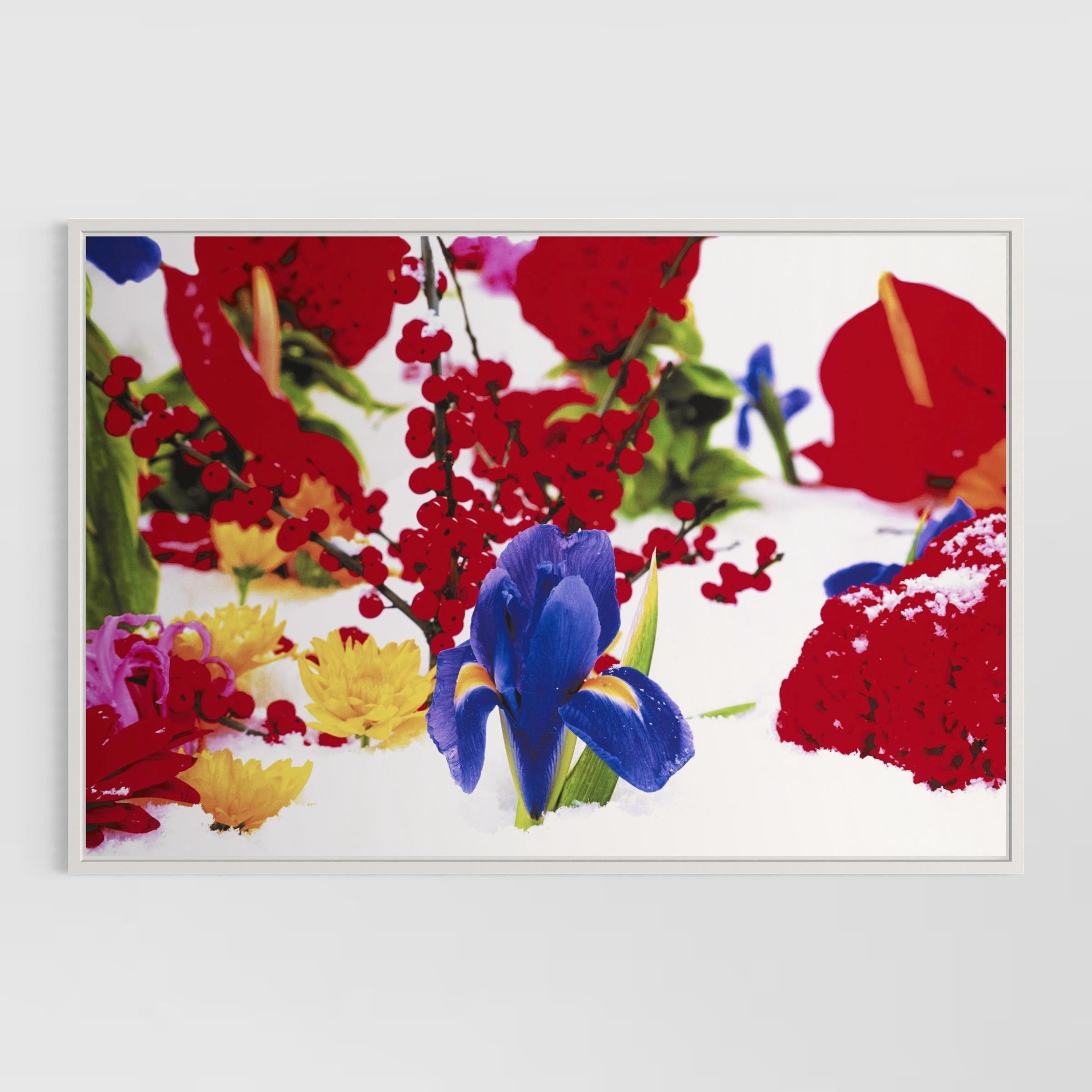 Winter Garden (Portfolio of 8) by Marc Quinn For Sale 9